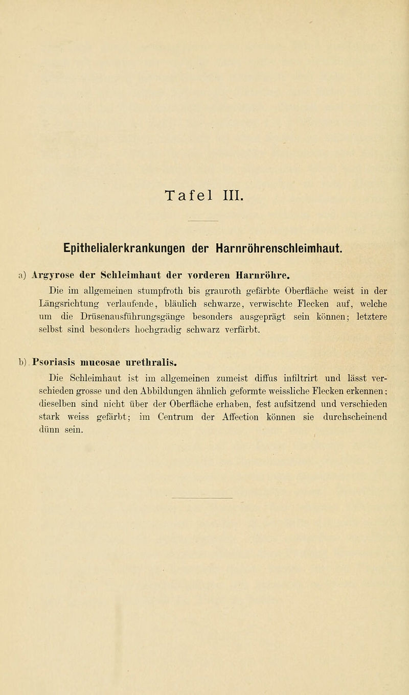 Tafel III. Epithelialerkrankungen der Harnröhrenschleimhaut. a) Argyrose der Schleimhaut der vorderen Harnröhre. Die im allgemeinen stumpfroth bis grauroth gefärbte Oberfläche weist in der Längsrichtung verlaufende, bläulich schwarze, verwischte Flecken auf, welche um die Drüsenausführungsgänge besonders ausgeprägt sein können; letztere selbst sind besonders hochgradig schwarz verfärbt. b).Psoriasis mucosae urethralis. Die Schleimhaut ist im allgemeinen zumeist diffus infiltrirt und lässt ver- schieden grosse und den Abbildungen ähnheb geformte weissliche Flecken erkennen: dieselben sind nicht über der Oberfläche erhaben, fest aufsitzend und verschieden stark weiss gefärbt; im Centrum der Affection können sie durchscheinend dünn sein.