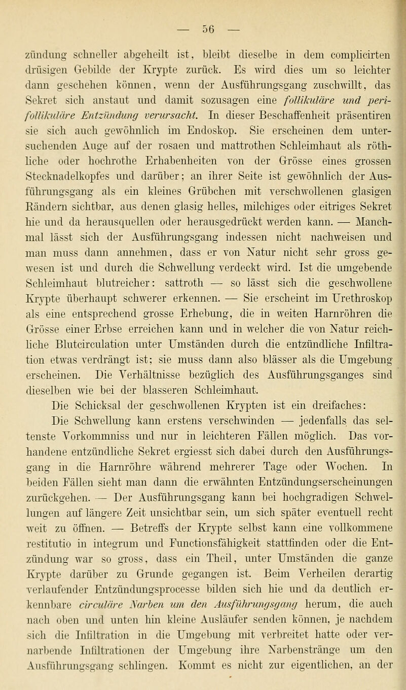 zündung schneller abgeheilt ist, bleibt dieselbe in dem comphcirten drüsigen Gebilde der Krypte zurück. Es wird dies um so leichter dann geschehen können, wenn der Ausführungsgang zuschwillt, das Sekret sich anstaut und damit sozusagen eine follikuläre und peri- follikuläre Entzündung verursacht. In dieser Beschaffenheit präsentiren sie sich auch gewöhnlich im Endoskop. Sie erscheinen dem unter- suchenden Auge auf der rosaen und mattrothen Schleimhaut als roth- liche oder hochrothe Erhabenheiten von der Grösse eines grossen Stecknadelkopfes und darüber; an ihrer Seite ist gewöhnlich der Aus- führungsgang als ein kleines Grübchen mit verschwollenen glasigen Rändern sichtbar, aus denen glasig helles, milchiges oder eitriges Sekret hie und da heraus quellen oder herausgedrückt werden kann. — Manch- mal lässt sich der Ausführungsgang indessen nicht nachweisen und man muss dann annehmen, dass er von Natur nicht sehr gross ge- wesen ist und durch die Schwellung verdeckt wird. Ist die umgebende Schleimhaut blutreicher: sattroth — so lässt sich die geschwollene Krypte überhaupt schwerer erkennen. — Sie erscheint im Urethroskop als eine entsprechend grosse Erhebung, die in weiten Harnröhren die Grösse einer Erbse erreichen kann und in welcher die von Natur reich- liche Blutcirculation unter Umständen durch die entzündliche Infiltra- tion etwas verdrängt ist; sie muss dann also blässer als die Umgebung erscheinen. Die Verhältnisse bezüglich des Ausführungsganges sind dieselben wie bei der blasseren Schleimhaut. Die Schicksal der geschwollenen Krypten ist ein dreifaches: Die Schwellung kann erstens verschwinden — jedenfalls das sel- tenste Vorkommmss und nur in leichteren Fällen möglich. Das vor- handene entzündliche Sekret ergiesst sich dabei durch den Ausführungs- gang in die Harnröhre während mehrerer Tage oder Wochen. In beiden Fällen sieht man dann die erwähnten Entzündungserscheinungen zurückgehen. — Der Ausführungsgang kann bei hochgradigen Schwel- lungen auf längere Zeit unsichtbar sein, um sich später eventuell recht weit zu öffnen. — Betreffs der Krypte selbst kann eine vollkommene restitutio in integrum und Functionsfähigkeit stattfinden oder die Ent- zündung war so gross, dass ein Theil, unter Umständen die ganze Krypte darüber zu Grunde gegangen ist. Beim Verheilen derartig verlaufender Entzündungsprocesse bilden sich hie und da deutlich er- kennbare circuläre Narben um den Ausführungsgang herum, die auch nach oben und unten hin kleine Ausläufer senden können, je nachdem sich die Infiltration in die Umgebung mit verbreitet hatte oder ver- narbende Infiltrationen der Umgebung ihre Narbenstränge um den Ausführungsgang schlingen. Kommt es nicht zur eigentlichen, an der