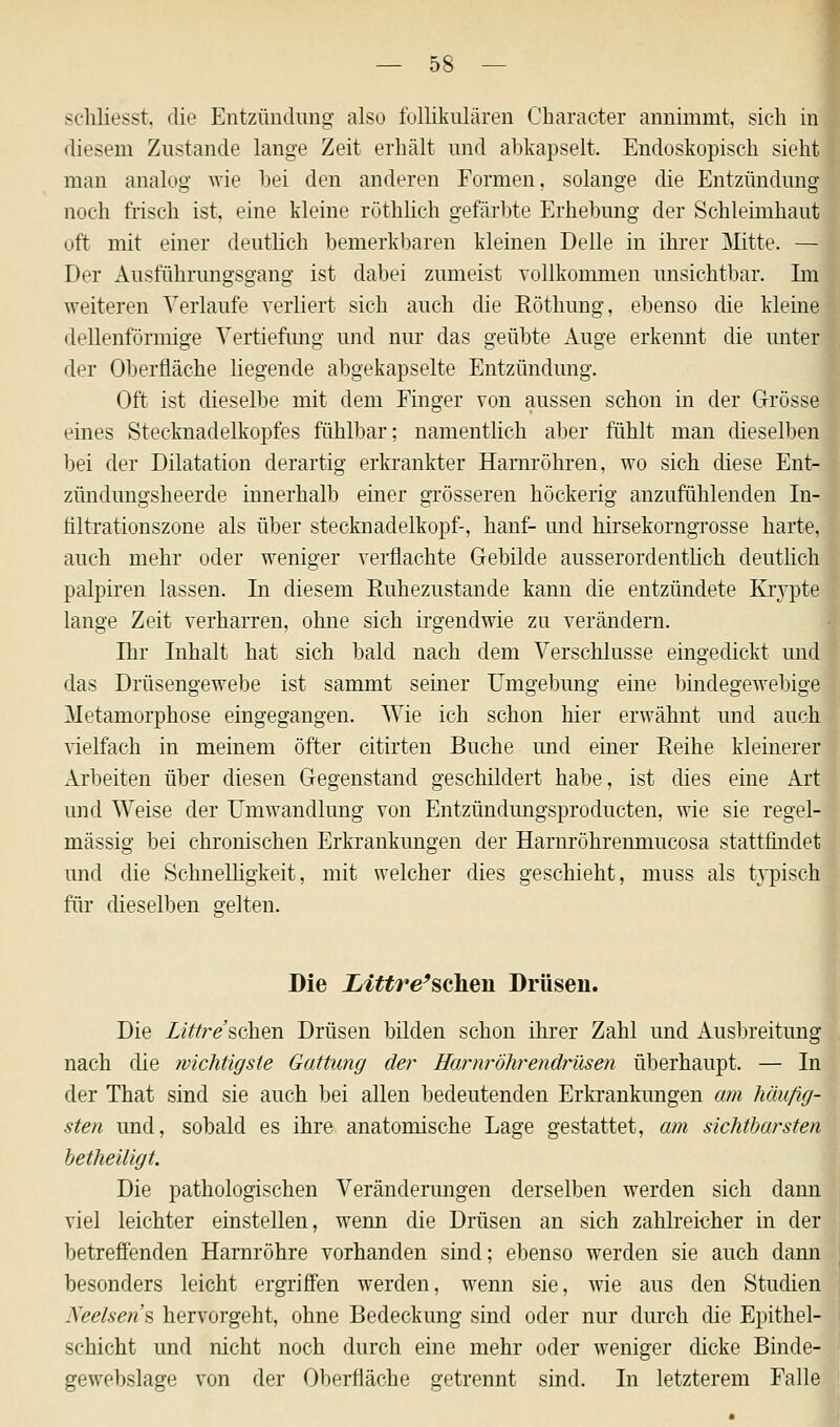 schliesst, die Entzündung also follikulären Character annimmt, sich in diesem Zustande lange Zeit erhält und abkapselt. Endoskopisch sieht man analug wie hei den anderen Formen, solange die Entzündung noch frisch ist, eine kleine röthlich gefärbte Erhebung der Schleimhaut oft mit einer deutlich bemerkbaren kleinen Delle in ihrer Mitte. — Der Ausführungsgang ist dabei zumeist vollkommen unsichtbar. Im weiteren Verlaufe verliert sich auch die Eötlmng, ebenso die kleine dellenförmige Vertiefung und nur das geübte Auge erkennt die unter der Oberfläche liegende abgekapselte Entzündung. Oft ist dieselbe mit dem Finger von aussen schon in der Grösse eines Stecknadelkopfes fühlbar; namentlich aber fühlt man dieselben bei der Dilatation derartig erkrankter Harnröhren, wo sich diese Ent- zündungsheerde innerhalb einer grösseren höckerig anzufühlenden In- tiltrationszone als über Stecknadelkopf-, hanf- und hirsekorngrosse harte, auch mehr oder weniger verflachte Gebilde ausserordentlich deutlich palpiren lassen. In diesem Ruhezustande kann die entzündete Krypte lange Zeit verharren, ohne sich irgendwie zu verändern. Ihr Inhalt hat sich bald nach dem Verschlusse eingedickt und das Drüsengewebe ist sammt semer Umgebung eine bindegewebige Metamorphose eingegangen. Wie ich schon hier erwähnt und auch vielfach in meinem öfter citirten Buche und einer Reihe kleinerer Arbeiten über diesen Gegenstand geschildert habe, ist dies eine Art und Weise der Umwandlung von Entzündungsproducten, wie sie regel- mässig bei chronischen Erkrankungen der Harnröhrenmucosa stattfindet und die Schnelligkeit, mit welcher dies geschieht, muss als typisch für dieselben gelten. Die Littre'schen Drüsen. Die Littre sehen. Drüsen bilden schon ihrer Zahl und Ausbreitung nach die wichtigste Gattung der Harnrohrendrüsen überhaupt. — In der That sind sie auch bei allen bedeutenden Erkrankungen am häufig- sten und, sobald es ihre anatomische Lage gestattet, am sichtbarsten betheiligt. Die pathologischen Veränderungen derselben werden sich dann viel leichter einstellen, wenn die Drüsen an sich zahlreicher in der betreffenden Harnröhre vorhanden sind; ebenso werden sie auch dann besonders leicht ergriffen werden, wenn sie, wie aus den Studien Neelsens hervorgeht, ohne Bedeckung sind oder nur durch die Epithel- schicht und nicht noch durch eine mehr oder weniger dicke Binde- gewebslage von der Oberfläche getrennt sind. In letzterem Falle