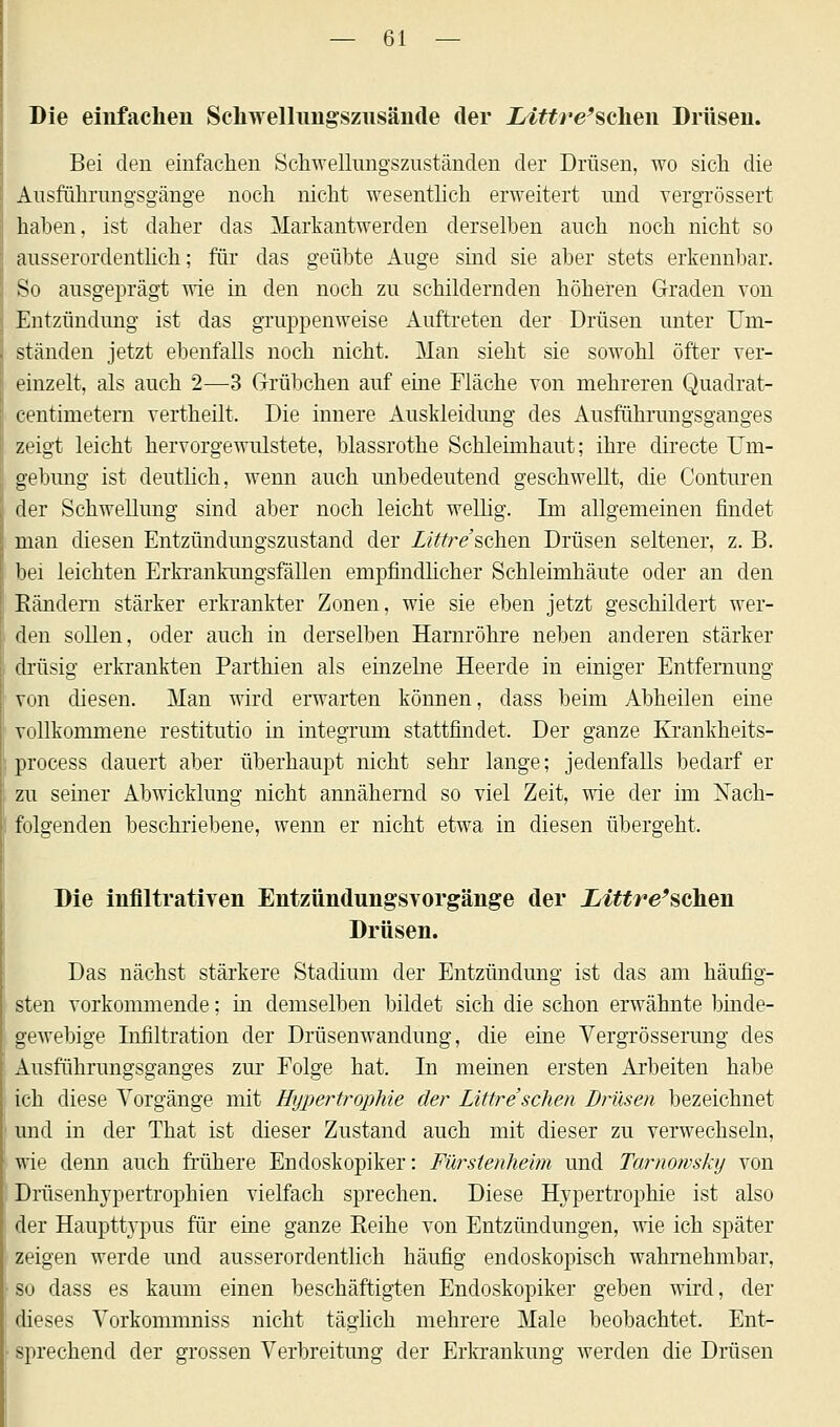 Die einfachen Schwellnngsznsände der Littre'scken Drüsen. Bei den einfachen Schwellimgszustänclen der Drüsen, wo sich die Ausführungsgänge noch nicht wesentlich erweitert und vergrössert haben, ist daher das Markantwerden derselben auch noch nicht so ausserordentlich; für das geübte Auge sind sie aber stets erkennbar. So ausgeprägt wie in den noch zu schildernden höheren Graden von Entzündung ist das gruppenweise Auftreten der Drüsen unter Um- ständen jetzt ebenfalls noch nicht. Man sieht sie sowohl öfter ver- einzelt, als auch 2—3 Grübchen auf eine Fläche von mehreren Quadrat- centimetem vertheilt. Die innere Auskleidung des Ausführungsganges zeigt leicht hervorgewulstete, blassrothe Schleimhaut; ihre directe Um- gebung ist deutlich, wenn auch unbedeutend geschwellt, die Conturen der Schwellung sind aber noch leicht wellig. Im allgemeinen findet man diesen Entzündungszustand der Littre'schen Drüsen seltener, z. B. bei leichten Erkrankungsfällen empfindlicher Schleimhäute oder an den Bändern stärker erkrankter Zonen, wie sie eben jetzt geschildert wer- den sollen, oder auch in derselben Harnröhre neben anderen stärker drüsig erkrankten Parthien als einzelne Heerde in einiger Entfernung von diesen. Man wird erwarten können, dass beim Abheilen eine vollkommene restitutio in integrum stattfindet. Der ganze Krankheits- process dauert aber überhaupt nicht sehr lange; jedenfalls bedarf er zu seiner Abwicklung nicht annähernd so viel Zeit, wie der im Nach- folgenden beschriebene, wenn er nicht etwa in diesen übergeht, Die infiltrativen EntzündungsVorgänge der JLittre'stihen Drüsen. Das nächst stärkere Stadium der Entzündung ist das am häufig- sten vorkommende; in demselben bildet sich die schon erwähnte binde- gewebige Infiltration der Drüsenwandung, die eine Vergrösserung des Ausführungsganges zur Eolge hat. In meinen ersten Arbeiten habe ich diese Vorgänge mit Hypertrophie der Littre'sehen Drüsen bezeichnet und in der That ist dieser Zustand auch mit dieser zu verwechseln, wie denn auch frühere Endoskopiker: Fürstenheim und Tarnowsky von Drüsenhypertrophien vielfach sprechen. Diese Hypertrophie ist also der Haupttypus für eine ganze Beihe von Entzündungen, wie ich später zeigen werde und ausserordentlich häufig endoskopisch wahrnehmbar, so dass es kaum einen beschäftigten Endoskopiker geben wird, der dieses Vorkommniss nicht täglich mehrere Male beobachtet. Ent- I sprechend der grossen Verbreitung der Erkrankung werden die Drüsen