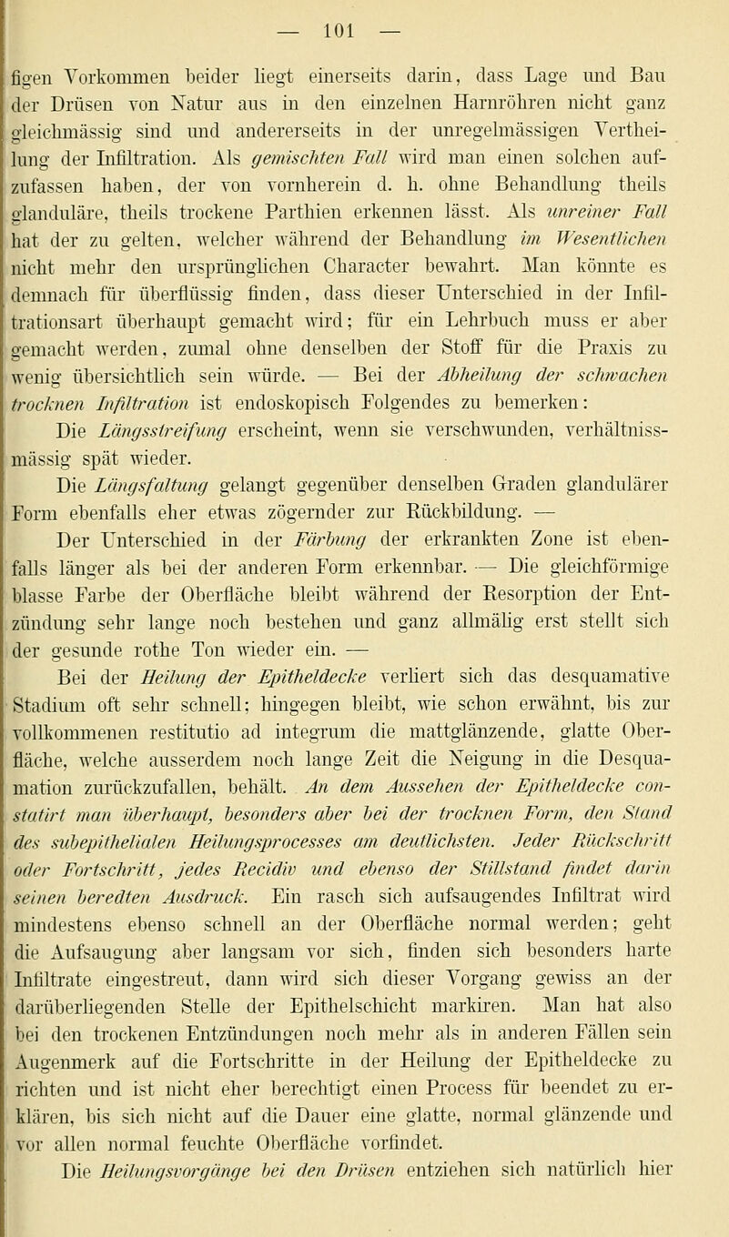 figen Vorkommen beider liegt einerseits darin, dass Lage und Bau der Drüsen von Natur aus in den einzelnen Harnröhren nicht ganz gleichmässig sind und andererseits in der unregelmässigen Verthei- lung der Infiltration. Als gemischten Fall wird man einen solchen auf- zufassen haben, der von vornherein d. h. ohne Behandlung theils glanduläre, theils trockene Parthien erkennen lässt. Als unreiner Fall hat der zu gelten, welcher während der Behandlung im Wesentlichen nicht mehr den ursprünglichen Character bewahrt. Man könnte es demnach für überflüssig finden, dass dieser Unterschied in der Infil- trationsart überhaupt gemacht wird; für ein Lehrbuch muss er aber gemacht werden, zumal ohne denselben der Stoff für die Praxis zu wenig übersichtlich sein würde. — Bei der Abheilung der schwachen trocknen Infiltration ist endoskopisch Folgendes zu bemerken: Die Läng ssireifung erscheint, wenn sie verschwunden, verhältniss- mässig spät wieder. Die Längsfaltung gelangt gegenüber denselben Graden glandulärer Form ebenfalls eher etwas zögernder zur Rückbildung. — Der Unterschied in der Färbung der erkrankten Zone ist eben- falls länger als bei der anderen Form erkennbar. — Die gleichförmige blasse Farbe der Oberfläche bleibt während der Resorption der Ent- zündung sehr lange noch bestehen und ganz almiälig erst stellt sich der gesunde rothe Ton wieder ein. — Bei der Heilung der Epitheldecke verliert sich das desquamative Stadium oft sehr schnell; hingegen bleibt, wie schon erwähnt, bis zur vollkommenen restitutio ad integrum die mattglänzende, glatte Ober- fläche, welche ausserdem noch lange Zeit die Neigung in die Desqua- mation zurückzufallen, behält. An dem Aussehen der Epitheldecke con- statirt man überhaupt, besonders aber bei der trocknen Form, den Stand des subepithelialen Heilung sprocesses am deutlichsten. Jeder Rückschritt oder Fortschritt, jedes Recidiv und ebenso der Stillstand findet darin seinen beredten Ausdruck. Ein rasch sich aufsaugendes Infiltrat wird mindestens ebenso schnell an der Oberfläche normal werden; geht die Aufsaugung aber langsam vor sich, finden sich besonders harte Infiltrate eingestreut, dann wird sich dieser Vorgang gewiss an der darüberliegenden Stelle der Epithelschicht markiren. Man hat also bei den trockenen Entzündungen noch mehr als in anderen Fällen sein Augenmerk auf die Fortschritte in der Heilung der Epitheldecke zu richten imd ist nicht eher berechtigt einen Process für beendet zu er- klären, bis sich nicht auf die Dauer eine glatte, normal glänzende und vor allen normal feuchte Oberfläche vorfindet. Die Heilungsvorgänge bei den Drüsen entziehen sich natürlich hier