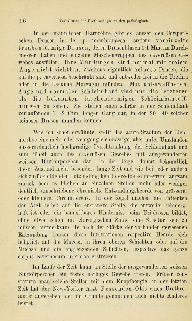 In der männlichen Harnröhre gibt es ausser den Cowper'- scheu Drüsen in der p. membranacea: erstens vereinzelte traubenförmige Drüsen, deren Drüsenblasen 0*1 Mm. im Durch- messer haben und einzelne Maschengruppen des cavernösen Gre- webes ausfüllen. Ihre Mündungen sind normal mit freiem Auge nicht sichtbar. Zweitens eigentlich acinöse Drüsen, die auf die p. cavernosa beschränkt sind und entweder frei in die Urethra oder in die Lacunae Morgagni münden. Mit unbewaffnetem Auge und normaler Schleimhaut sind nur die letzteren als die bekannten taschenförmigen Schleimhautöff- nungen zu sehen. Sie stellen einen schräg in der Schleimhaut verlaufenden 1—2 Ctm. langen Gang dar, in den 20—40 solcher acinöser Drüsen münden können. Wie ich schon erwähnte, stellt das acute Stadium der Blen- norrhoe eine mehr oder weniger gleichmässige, aber unter Umständen ausserordentlich hochgradige Durchtränkung der Schleimhaut und zum Theil auch des cavernösen Gewebes mit ausgewanderten weissen Blutkörperchen dar. In der Regel dauert bekanntlich dieser Zustand nicht besonders lauge Zeit und wie bei jeder andern sich zurückbildeuden Entzündung kehrt derselbe ad integrum langsam zurück oder es bleiben an einzelnen Stelleu mehr oder weniger deutlich umschriebene chronische Entzündungsheerde von grösserer oder kleinerer Circumferenz. In der Regel machen die Patienten den Arzt selbst auf die erkrankte Stelle, die entweder schmerz- haft ist oder ein bemerkbares Hiuderniss beim Urinlassen bildet, ohne etwa schon im chirurgischen Sinne eine Strictur sein zu müssen, aufmerksam. Je nach der Stärke der vorhanden gewesenen Entzündung können diese Infiltrationen respective Heerde sich lediglich auf die Mucosa in ihren oberen Schichten oder auf die Mucosa und die angrenzenden Schichten, respective das ganze corpus cavernosum urethrae erstrecken. Im Laufe der Zeit kann an Stelle der ausgewanderten weissen Blutkörperchen ein festes narbiges Gewebe treten. Früher con- statirte man solche Stellen mit dem Knopfbougie, in der letzten Zeit hat der New-Yorker Arzt Fesseuden-Otis einen Urethro- meter angegeben, der im Grunde genommen auch nichts Anderes leistet.