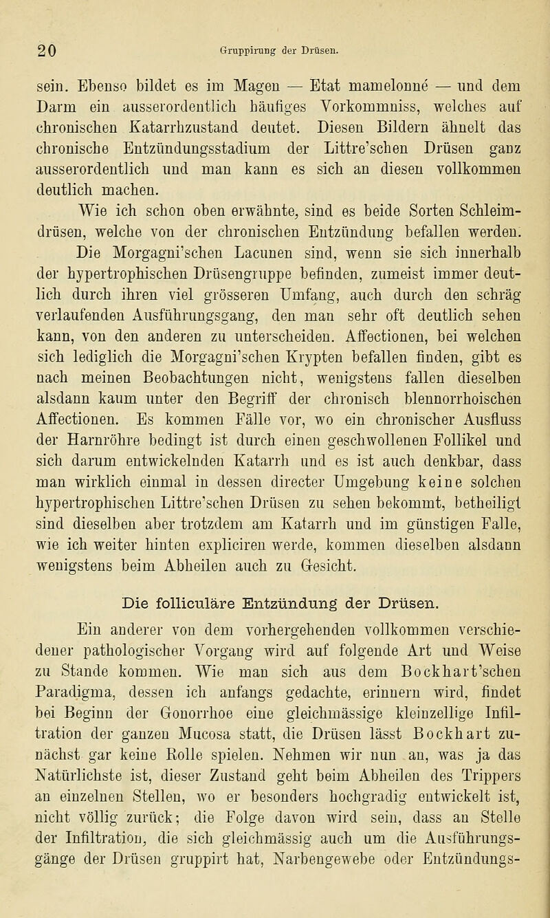 sein. Ebenso bildet es im Magen — Etat mamelonne — und dem Darm ein ausserordentlich häufiges Vorkommniss, welches auf chronischen Katarrhzustand deutet. Diesen Bildern ähnelt das chronische Entzündungsstadium der Littre'schen Drüsen ganz ausserordentlich und man kann es sich an diesen vollkommen deutlich machen. Wie ich schon oben erwähnte, sind es beide Sorten Schleim- drüsen, welche von der chronischen Entzündung befallen werden. Die Morgagni'schen Lacunen sind, wenn sie sich innerhalb der hypertrophischen Drüsengruppe befinden, zumeist immer deut- lich durch ihren viel grösseren Umfang, auch durch den schräg verlaufenden Ausführungsgang, den man sehr oft deutlich sehen kann, von den anderen zu unterscheiden. Affectionen, bei welchen sich lediglich die Morgagni'schen Krypten befallen finden, gibt es nach meinen Beobachtungen nicht, wenigstens fallen dieselben alsdann kaum unter den Begriff der chronisch blennorrhoischen Affectionen. Es kommen Fälle vor, wo ein chronischer Ausfluss der Harnröhre bedingt ist durch einen geschwollenen Follikel und sich darum entwickelnden Katarrh und es ist auch denkbar, dass man wirklich einmal in dessen directer Umgebung keine solchen hypertrophischen Littre'schen Drüsen zu sehen bekommt, betheiligt sind dieselben aber trotzdem am Katarrh und im günstigen Falle, wie ich weiter hinten expliciren werde, kommen dieselben alsdann wenigstens beim Abheilen auch zu Glesicht. Die folliculäre Entzündung der Drüsen. Ein anderer von dem vorhergehenden vollkommen verschie- dener pathologischer Vorgang wird auf folgende Art und Weise zu Stande kommen. Wie man sich aus dem Bockhart'sehen Paradigma, dessen ich anfangs gedachte, erinnern wird, findet bei Beginn der Gonorrhoe eine gleichmässige kleinzellige Infil- tration der ganzen Mucosa statt, die Drüsen lässt Bockhart zu- nächst gar keine Rolle spielen. Nehmen wir nun an, was ja das Natürlichste ist, dieser Zustand geht beim Abheilen des Trippers an einzelnen Stellen, wo er besonders hochgradig entwickelt ist, nicht völlig zurück; die Folge davon wird sein, dass an Stelle der Infiltration, die sich gleichmässig auch um die Ausführungs- gänge der Drüsen gruppirt hat, Narbengewebe oder Entzündungs-