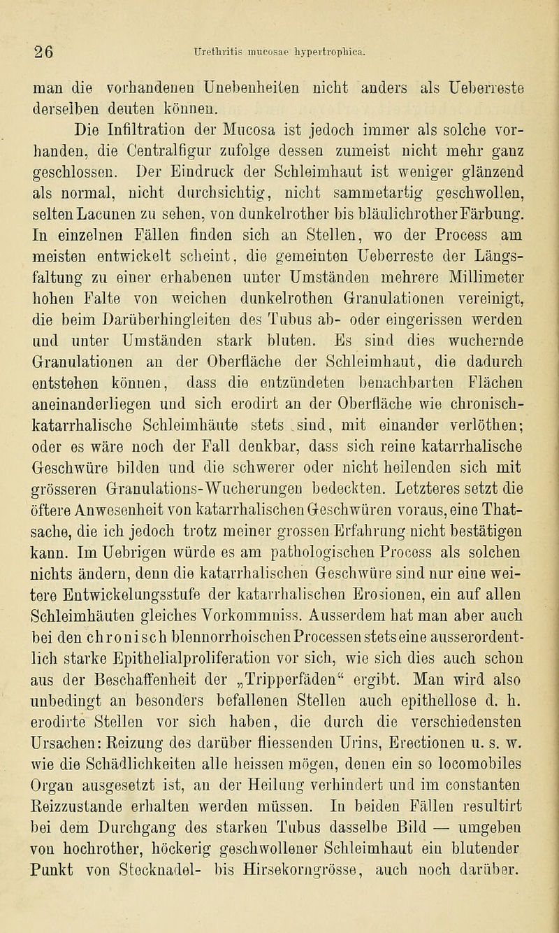 man die vorhandeneu ünebeuheiten nicht anders als üebeneste derselben deuten können. Die Infiltration der Miicosa ist jedoch immer als solche vor- banden, die Centralfigur zufolge dessen zumeist nicht mehr ganz geschlossen. Der Eindruck der Schleimhaut ist weniger glänzend als normal, nicht diu'chsichtig, nicht sammetartig geschwollen, seltenLacuuen zu sehen, von dunkelrother bis bläulichrotherFärbung. In einzelnen Fällen finden sich an Stellen, wo der Process am meisten entwickelt scheint, die gemeinten Ueberreste der Läugs- faltung zu einer erhabenen unter Umständen mehrere Millimeter hohen Falte von weichen dimkelrothen Granulationen vereinigt, die beim Darüberhingieiten des Tubus ab- oder eingerissen werden und unter Umständen stark bluten. Es sind dies wuchernde Granulationen an der Oberfläche der Schleimhaut, die dadurch entstehen können, dass die entzündeten benachbarten Flächen aneinanderliegen und sich erodirt an der Oberfläche wie chronisch- katarrhalische Schleimhäute stets sind, mit einander verlöthen; oder es wäre noch der Fall denkbar, dass sich reine katarrhalische Geschwüre bilden und die schwerer oder nicht heilenden sich mit grösseren Granulations-Wucherungeu bedeckten. Letzteres setzt die öftere Anwesenheit von katarrhalischen Geschwüren voraus, eine That- sache, die ich jedoch trotz meiner grossen Erfahrung nicht bestätigen kann. Im Uebrigen würde es am pathologischen Process als solchen nichts ändern, denn die katarrhalischen Geschwüre sind nur eine wei- tere Eütwickelungsstufe der katarrhalischen Erosionen, ein auf allen Schleimhäuten gleiches Vorkommniss. Ausserdem hat man aber auch bei den chronisch blennorrhoischen Processen stets eine ausserordent- lich starke Epithelialproliferation vor sich, wie sich dies auch schon aus der Beschaffenheit der „Tripperfäden ergibt. Man wird also unbedingt an besonders befallenen Stellen auch epithellose d. h. erodirte Stellen vor sich haben, die durch die verschiedensten Ursachen: Reizung des darüber fliessenden Urins, Erectionen u. s, w. wie die Schädlichkeiten alle heissen mögen, denen ein so locomobiles Organ ausgesetzt ist, an der Heilung verhindert und im constanten ßeizzustande erlialten werden müssen. In beiden Fällen resultirt bei dem Durchgang des starken Tubus dasselbe Bild — umgeben von hochrother, höckerig geschwollener Schleimhaut ein blutender Punkt von Stecknadel- bis Hirsekorngrösse, auch noch darüber.