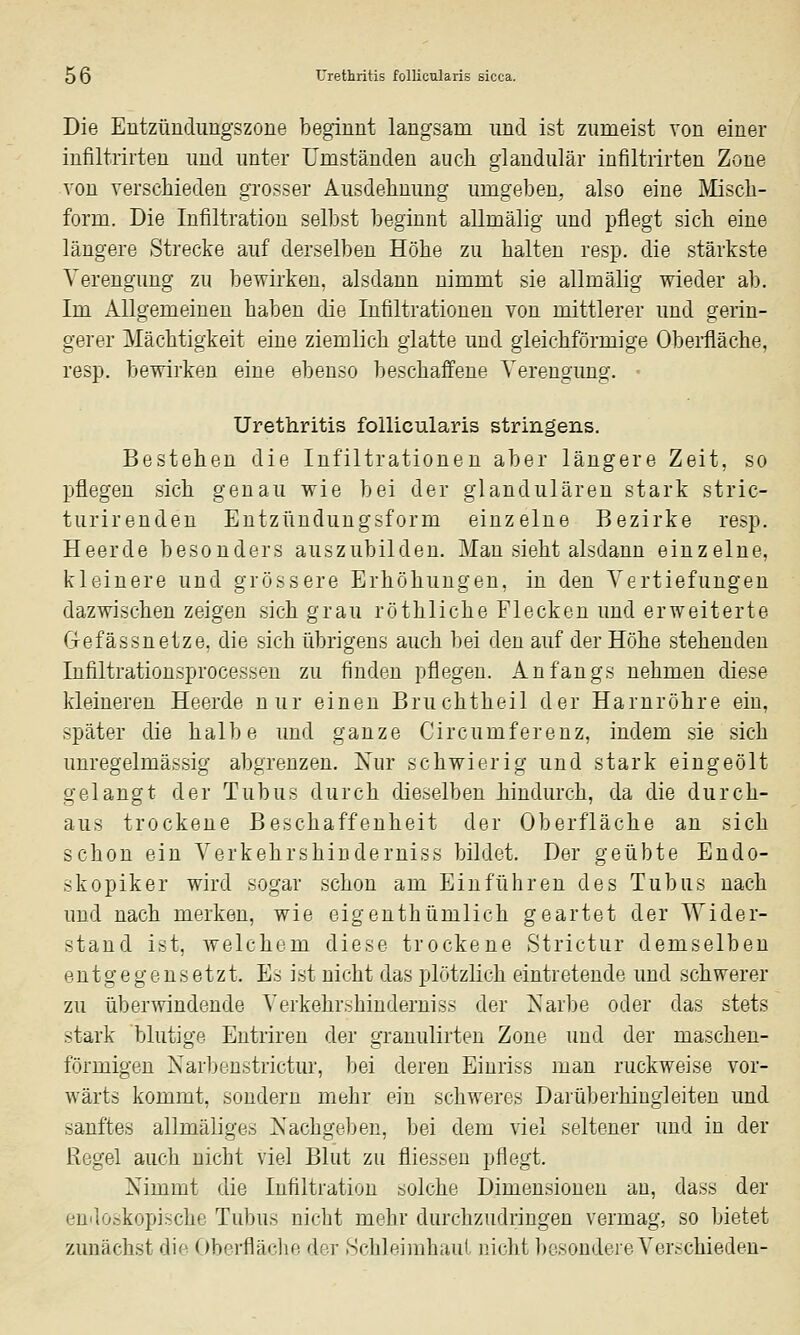 Die Entzündimgszone beginnt langsam und ist zumeist von einer infiltrirten und unter Umständen auch glandulär infiltrirten Zone von verschieden grosser Ausdehnung umgeben, also eine Misch- form. Die Infiltration selbst beginnt allmälig und pflegt sich eine längere Strecke auf derselben Höhe zu halten resp. die stärkste Verengung zu bewirken, alsdann nimmt sie allmälig wieder ab. Im Allgemeinen haben die Infiltrationen von mittlerer und gerin- gerer Mächtigkeit eine ziemlich glatte und gleichförmige Oberfläche, resp. bewirken eine ebenso beschaffene Verengung. • Urethritis follicularis stringens. Bestehen die Infiltrationen aber längere Zeit, so pflegen sich genau wie bei der glandulären stark stric- turir enden Entzündungsform einzelne Bezirke resp. Heerde besonders auszubilden. Man sieht alsdann einzelne, kleinere und grössere Erhöhungen, in den Vertiefungen dazwischen zeigen sich grau röthliche Flecken und erweiterte Gefässnetze, die sich übrigens auch bei den auf der Höhe stehenden Infiltrationsprocesseu zu finden pflegen. Anfangs nehmen diese kleineren Heerde nur einen Bruchtheil der Harnröhre ein, später die halbe und ganze Circumferenz, indem sie sich unregelmässig abgrenzen. Xur schwierig und stark eingeölt gelangt der Tubus durch dieselben hindurch, da die durch- aus trockene Beschaffenheit der Oberfläche an sich schon ein Verkehrshinderniss bildet. Der geübte Endo- .-kopiker wird sogar schon am Einführen des Tubus nach und nach merken, wie eigenthümlich geartet der Wider- stand ist, welchem diese trockene Strictur demselben entgegensetzt. Es ist nicht das plötzlich eintretende und schwerer zu überwindende Verkehrshinderniss der isarbe oder das stets stark blutige Entriren der granulirten Zone und der maschen- förmigen Narbenstrictur, bei deren Eiuriss man ruckweise vor- wärts kommt, sondern mehr ein schweres Darüberhingleiten und sanftes allmäliges Nachgeben, bei dem viel seltener und in der Regel auch nicbt viel Blut zu flies.-eu pflegt. Nimmt die Infiltration solche Dimensionen an, dass der endoskopische Tubus nicht mehr durchzudringen vermag, so bietet zunächst die ()berfläc]ie der Schleinihaul nicht besondere Verschieden-