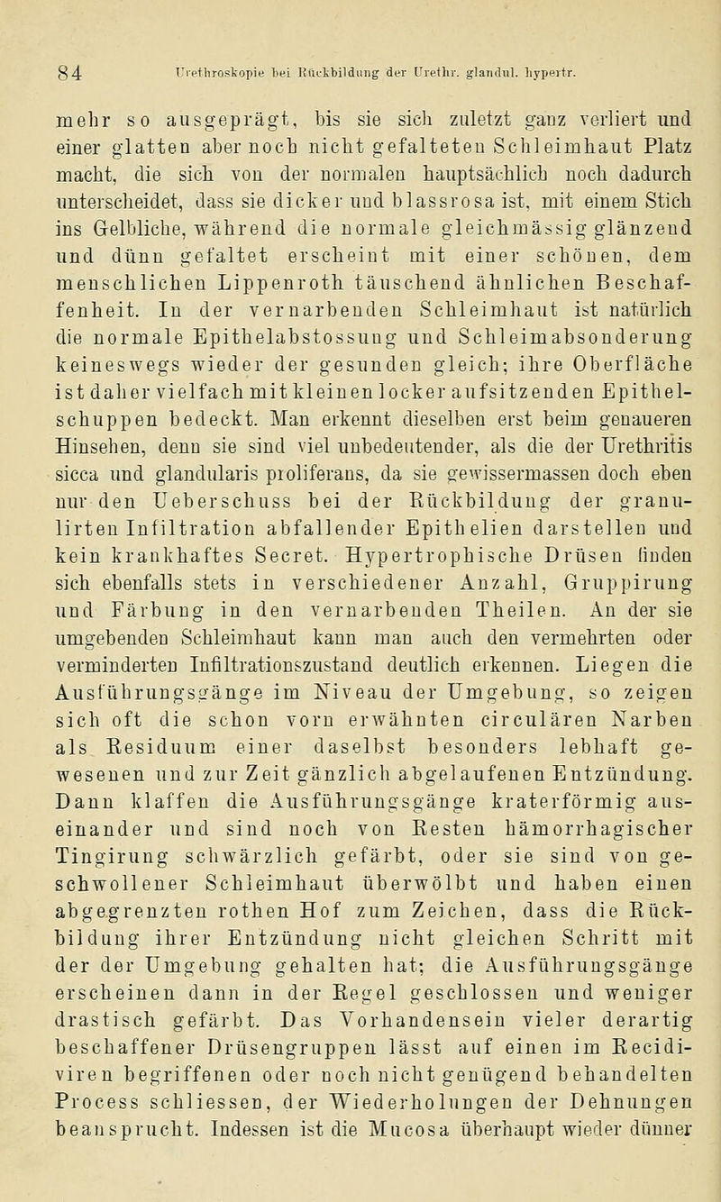 mehr so ausgeprägt, bis sie sich zuletzt ganz verliert und einer glatten aber noch nicht gefalteten Schleimhaut Platz macht, die sich von der normalen hauptsächlich noch dadurch unterscheidet, dass sie dicker und blassrosa ist. mit einem Stich ins Gelbliche, während die normale gleichmässig glänzend und dünn gefaltet erscheint mit einer schönen, dem menschlichen Lippenroth täuschend ähnlichen Beschaf- fenheit. In der vernarbenden Schleimhaut ist natürlich die normale Epithelabstossung und Schleimabsonderung keineswegs wieder der gesunden gleich; ihre Oberfläche ist daher vielfach mit kl einen locker aufsitzenden Epithel- schuppen bedeckt. Man erkennt dieselben erst beim genaueren Hinsehen, denn sie sind viel unbedeutender, als die der Urethritis sicca und glandularis proliferans, da sie gewissermassen doch eben nur den üeberschuss bei der Rückbildung der granu- lirten Infiltration abfallender Epithelien darstellen und kein krankhaftes Secret. Hypertrophische Drüsen linden sich ebenfalls stets in verschiedener Anzahl, Gruppirung und Färbung in den vernarbenden Theilen. Xo. der sie umgebenden Schleimhaut kann man auch den vermehrten oder verminderten Infiltrationszustand deutlich erkennen. Liegen die Ausführungsgänge im Niveau der Umgebung, so zeigen sich oft die schon vorn erwähnten circulären Narben als Residuum einer daselbst besonders lebhaft ge- wesenen und zur Zeit gänzlich abgelaufenen Entzündung. Dann klaffen die Ausführungsgänge kraterförmig aus- einander und sind noch von Resten hämorrhagischer Tingirung schwärzlich gefärbt, oder sie sind von ge- schwollener Schleimhaut überwölbt und haben einen abgegrenzten rothen Hof zum Zeichen, dass die Rück- bildung ihrer Entzündung nicht gleichen Schritt mit der der Umgebung gehalten hat; die Ausführungsgänge erscheinen dann in der Regel geschlossen und weniger drastisch gefärbt. Das Vorhandensein vieler derartig beschaffener Drüsengruppen lässt auf einen im Recidi- viren begriffenen oder noch nicht genügend behandelten Process schliessen, der Wiederholungen der Dehnungen beansprucht. Indessen ist die Mucosa überhaupt wieder dünner