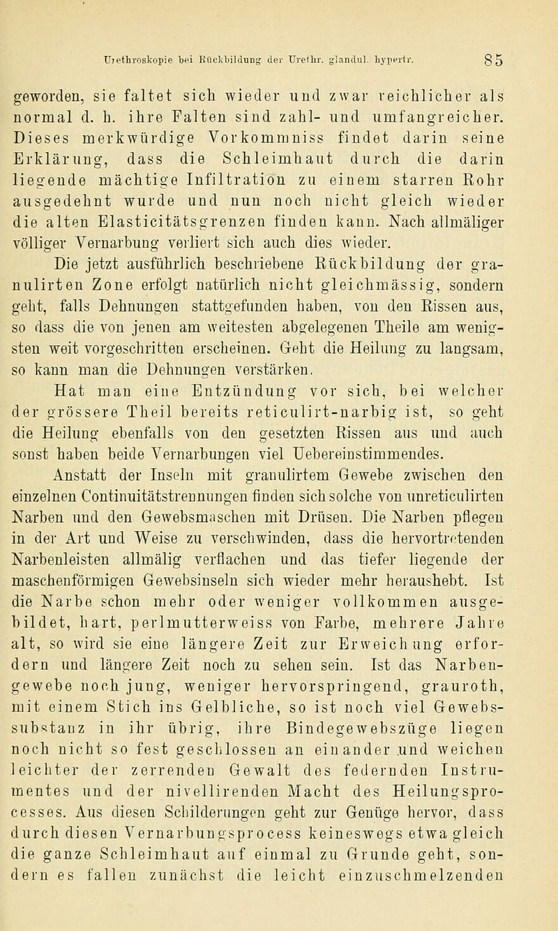 geworden, sie faltet sich wieder und zwar reichlicher als normal d. h. ihre Falten sind zahl- und umfangreicher. Dieses merkwürdige Vorkommniss findet darin seine Erklärung, dass die Schleimhaut durch die darin liegende mächtige Infiltration zu einem starren Rohr ausgedehnt wurde und nun noch nicht gleich wieder die alten Elasticitätsgrenzen finden kann. Nach allmäliger völliger Vernarbung verliert sich auch dies wieder. Die jetzt ausführlich beschriebene Rückbildung der gra- nulirten Zone erfolgt natürlich nicht gleichmässig, sondern geht, falls Dehnungen stattgefunden haben, von den Rissen aus, so dass die von jenen am weitesten abgelegenen Theile am wenig- sten weit vorgeschritten erscheinen. Geht die Heilung zu langsam, so kann man die Dehnungen verstärken. Hat man eine Entzündung vor sich, bei welcher der grössere Theil bereits reticulirt-narbig ist, so geht die Heilung ebenfalls von den gesetzten Rissen aus und auch sonst haben beide Vernarbungen viel üebereiustimmendes. Anstatt der Inseln mit grauulirtem Gewebe zwischen den einzelnen Continuitätstrennungen finden sich solche von unreticulirten Narben und den Gewebsmasehen mit Drüsen. Die Narben pflegen in der Art und Weise zu verschwinden, dass die hervortretenden Narbenleisten allmälig verflachen und das tiefer liegende der maschenförmigen Gewebsinsein sich wieder mehr heraushebt. Ist die Narbe schon mehr oder weniger vollkommen ausge- bildet, hart, perlmutterweiss von Farbe, mehrere Jahre alt, so wird sie eine längere Zeit zur Erweichung erfor- dern und längere Zeit noch zu sehen sein. Ist das Narben- gewebe noch jung, weniger hervorspringend, grauroth, mit einem Stich ins Gelbliche, so ist noch viel Gewebs- substanz in ihr übrig, ihre Bindegewebszüge liegen noch nicht so fest geschlossen an einander und weichen leichter der zerrenden Gewalt des federnden Instru- mentes und der nivellirenden Macht des Heilungspro- cesses. Aus diesen Schilderungen geht zur Genüge hervor, dass durch diesen Vernarbungsprocess keineswegs etwa gleich die ganze Schleimhaut auf einmal zu Grunde geht, son- dern es fallen zunächst die leicht einzuschmelzenden