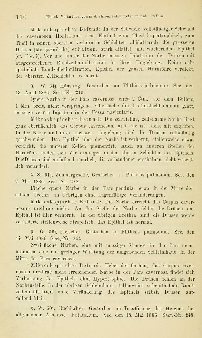 Mikroskopischer Befund: In der Schwiele vollständiger Schwund der caveinösen Hohlräume. Das Epithel zum Theil hypertrophisch, zum Theil in seinen obersten verhornten Schichten abblätternd; die grösseren Drüsen (Morgagni'sche) erhalten, stark dilatirt, mit wucherndem Epithel (cf. Fig. 4). Vor und hinter der Narbe massige Dilatation der Drüsen mit ausgesprochener Eundzelleniiitiltration in ihrer Umgebung. Keine sub- epitheliale Eundzelleuinfiltration, Epithel der ganzen Harnröhre verdickt, der obersten Zellschichten verhornt. 3. W. 34j. Häusling. Gestorben an Phthisis pulmonum. See. den 13. April 1886. Sect.-Nr. 219. Quere Narbe in der Pars cavernosa circa 2 Ctm. vor dem Bulbus, 1 Mm. breit, nicht vorspringend. Oberfläche der ürethralschleimhaut glatt, massige venöse Injection in der Fossa navicularis. Mikroskopischer Befund: Die schwielige, zellenarme Xarbe liegt ganz oberflächlich, das Corpus cavernosum urethrae ist nicht mit ergrifl'en. In der Narbe und ihrer nächsten Umgebung sind die Drüsen vollständig geschwunden. Das Epithel über der Narbe ist verhornt, stellenweise etwas verdickt, die unteren Zellen pigmentirt. Auch an anderen Stellen der Harnröhre finden sich Verhornungen in den oberen Schichten des Epithels. Die'Drüsen sind aufiallend spärlich, die vorhandenen erscheinen nicht wesent- lich verändert. 4. S. ölj. Ziramergeselle. Gestorben an Phthisis pulmonum. See. den 7. Mai 1886. Sect.-Nr. 228. Flache quere Narbe in der Pars pendula, etwa in der Mitte der- selben. Urethra im Uebrigen ohne augenfällige Veränderungen. Mikroskopischer Befund: Die Narbe erreicht das Corpus caver- nosum urethrae nicht. An der Stelle der Narbe fehlen die Drüsen, das Epithel ist hier verhornt. In der übrigen Urethra sind die Drüsen wenig verändert, stellenweise atrophisch, das Epithel ist normal. 5. G. 36j. Fleischer. Gestorben an Phthisis pulmonum. See. den 14. Mai 1886. Sect.-Nr. 244. Zwei flache Narben, eine mit massiger Stenose in der Pars mem- branacea, eine mit geringer Wulstung der umgebenden Schleimhaut in der Mitte der Pars cavernosa. Mikroskopischer Befund: Üeber der flachen, das Corpus caver- nosum urethrae nicht erreichenden Narbe in der Pars cavernosa findet sich Verhornung des Epithels ohne Hypertrophie. Die Drüsen fehlen an der Narbenstelle. In der übrigen Schleimhaut stellenweise subepitheliale Eund- zelleninflltration ohne Veränderung des Epithels selbst. Drüsen auf- fallend klein. 6. W. 60j. Buchhalter. Gestorben an Insufficienz des Herzens bei allgemeiner Atherose. Potatorium. See, den 18. Mai 1886. Sect.-Nr. 248.