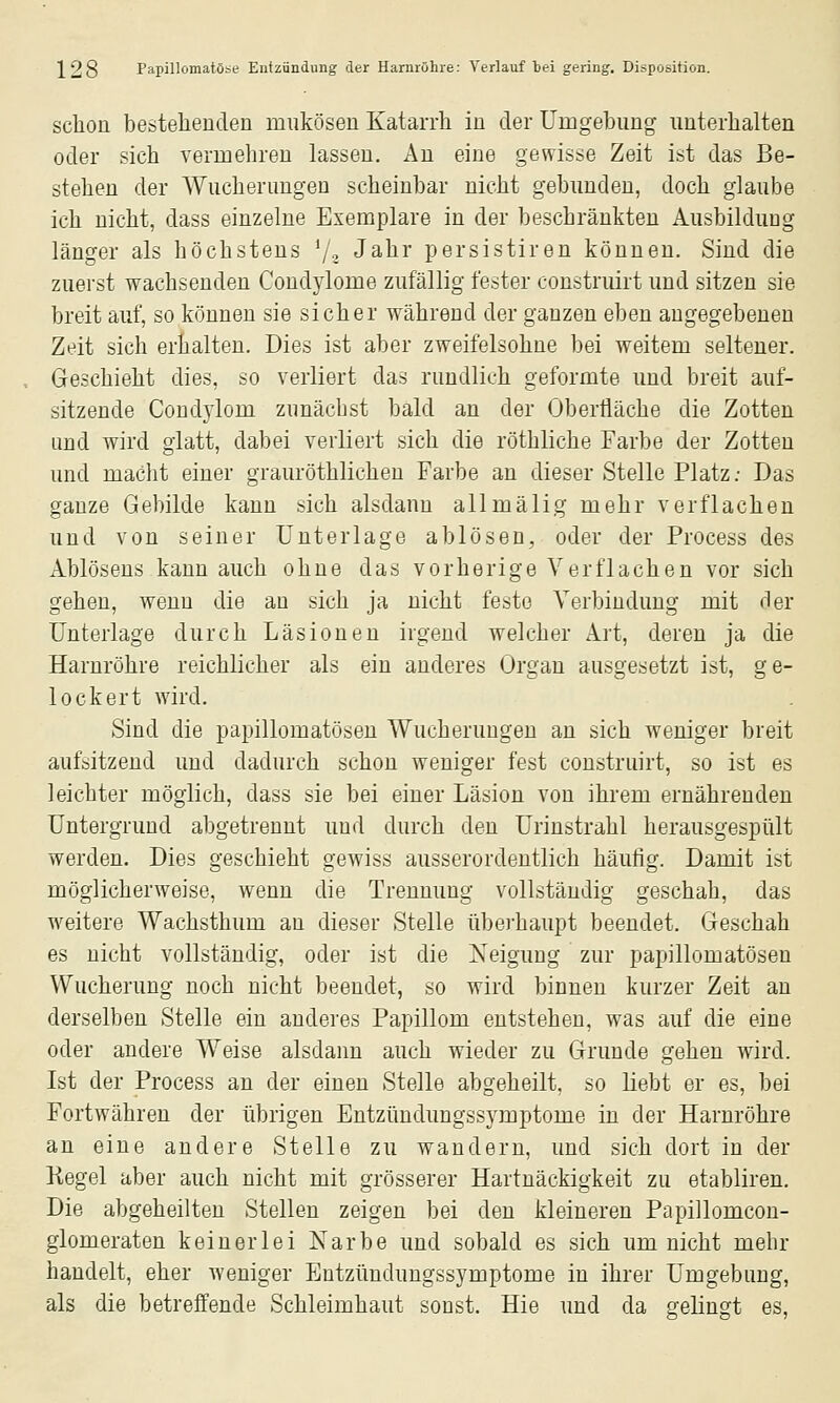 schon bestehenden mukösen Katarrh in der Umgebung unterhalten oder sich vermehren lassen. An eine gewisse Zeit ist das Be- stehen der Wucherungen scheinbar nicht gebunden, doch glaube ich nicht, dass einzelne Exemplare in der beschränkten Ausbildung länger als höchstens Va Jahr persistiren können. Sind die zuerst wachsenden Condylome zufällig fester eonstruirt und sitzen sie breit auf, so können sie sicher während der ganzen eben angegebenen Zeit sich erhalten. Dies ist aber zweifelsohne bei weitem seltener. Geschieht dies, so verliert das rundlich geformte und breit auf- sitzende Condj'lom zunächst bald an der Oberfläche die Zotten und wird glatt, dabei verliert sich die röthliche Farbe der Zotten und macht einer grauröthlicheu Farbe an dieser Stelle Platz; Das ganze Gebilde kann sich alsdann allmälig mehr verflachen und von seiner Unterlage ablösen, oder der Process des Ablösens kann auch ohne das vorherige Verflachen vor sich gehen, wenn die an sich ja nicht feste Verbindung mit der Unterlage durch Läsionen irgend welcher Art, deren ja die Harnröhre reichlicher als ein anderes Organ ausgesetzt ist, ge- lockert wird. Sind die papillomatöseu Wucherungen an sich weniger breit aufsitzend und dadurch schon weniger fest eonstruirt, so ist es leichter möglich, dass sie bei einer Läsion von ihrem ernährenden Untergrund abgetrennt und durch den Urinstrahl herausgespült werden. Dies geschieht gewiss ausserordentlich häufig. Damit ist möglicherweise, wenn die Trennung vollständig geschah, das weitere Wachsthum an dieser Stelle übei'haupt beendet. Geschah es nicht vollständig, oder ist die Neigung zur pajjillomatösen Wucherung noch nicht beendet, so wird binnen kurzer Zeit an derselben Stelle ein anderes Papillom entstehen, was auf die eine oder andere Weise alsdann auch wieder zu Grunde gehen wird. Ist der Process an der einen Stelle abgeheilt, so liebt er es, bei Fortwähren der übrigen Entzündungssymptome in der Harnröhre an eine andere Stelle zu wandern, und sich dort in der Kegel aber auch nicht mit grösserer Hartnäckigkeit zu etabliren. Die abgeheilten Stellen zeigen bei den kleineren Papillomcon- glomeraten keinerlei Narbe und sobald es sich um nicht mehr handelt, eher weniger Entzündungssymptome in ihrer Umgebung, als die betreffende Schleimhaut sonst. Hie und da gelingt es.