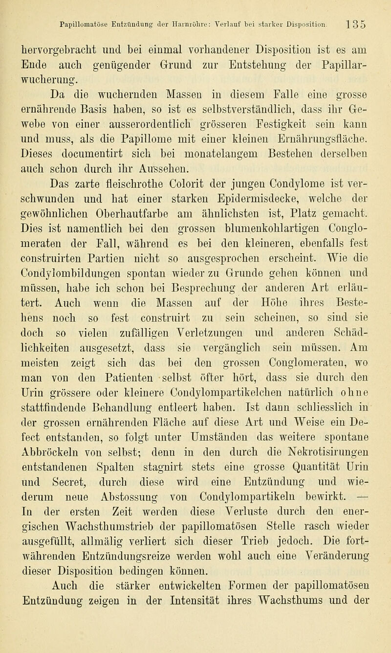 hervorgebracht und bei einmal vorhandener Disposition ist es am Ende auch genügender Grund zur Entstehung der Papillar- wucherung. Da die wuchernden Massen in diesem Falle eine grosse ernährende Basis haben, so ist es selbstverständlich, dass ihr Ge- webe von einer ausserordentlich grösseren Festigkeit sein kann und muss, als die Papillome mit einer kleineu Ernährungsfläche. Dieses documentirt sich bei monatelangem Bestehen derselben auch schon durch ihr AuBsehen. Das zarte fleischrothe Colorit der jungen Condylome ist ver- schwunden und hat einer starken Epidermisdecke, welche der gewöhnlichen Oberhautfarbe am ähnlichsten ist, Platz gemacht. Dies ist namentlich bei den grossen blumenkohlartigen Congio- meraten der Fall, während es bei den kleineren, ebenfalls fest construirten Partien nicht so ausgesprochen erscheint. Wie die Condylombildungen spontan wieder zu Grunde gehen können und müssen, habe ich schon bei Besprechung der anderen Art erläu- tert. Auch wenn die Massen auf der Höhe ihres Beste- hens noch so fest coustruirt zu sein scheinen, so sind sie doch so vielen zufälligen Verletzungen und anderen Schäd- lichkeiten ausgesetzt, dass sie vergänglich sein müssen. Am meisten zeigt sich das bei den grossen Conglomeraten, wo man von den Patienten selbst öfter hört, dass sie durch den Urin grössere oder kleinere Condylompartikelchen natürlich ohne stattfindende Behandlung entleert haben. Ist dann schliesslich in der grossen ernährenden Fläche auf diese Art und Weise ein De- fect entstanden, so folgt unter Umständen das weitere spontane Abbröckeln von selbst; denn in den durch die Nekrotisirungen entstandenen Spalten stagnirt stets eine grosse Quantität Urin und Secret, durch diese wird eine Entzündung und wie- derum neue Abstossung von Condylompartikeln bewirkt. — In der ersten Zeit werden diese Verluste durch den ener- gischen Wachsthumstrieb der papillomatösen Stelle rasch wieder ausgefüllt, allmälig verliert sich dieser Trieb jedoch. Die fort- währenden Entzündungsreize werden wohl auch eine Veränderung dieser Disposition bedingen können. Auch die stärker entwickelten Formen der papillomatösen Entzündung zeigen in der Intensität ihres Wachsthums und der