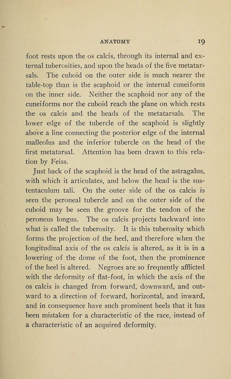 foot rests upon the os calcis, through its internal and ex- ternal tuberosities, and upon the heads of the five metatar- sals. The cuboid on the outer side is much nearer the table-top than is the scaphoid or the internal cuneiform on the inner side. Neither the scaphoid nor any of the cuneiforms nor the cuboid reach the plane on which rests the OS calcis and the heads oi the metatarsals. The lower edge of the tubercle of the scaphoid is slightly- above a line connecting the posterior edge of the internal malleolus and the inferior tubercle on the head of the first metatarsal. Attention has been drawn to this rela- tion by Feiss. Just back of the scaphoid is the head of the astragalus, with which it articulates, and below the head is the sus- tentaculum tali. On the outer side of the os calcis is seen the peroneal tubercle and on the outer side of the cuboid may be seen the groove for the tendon of the peroneus longus. The os calcis projects backward into what is called the tuberosity. It is this tuberosity which forms the projection of the heel, and therefore when the longitudinal axis of the os calcis is altered, as it is in a lowering of the dome of the foot, then the prominence of the heel is altered. Negroes are so frequently afflicted with the deformity of flat-foot, in which the axis of the OS calcis is changed from forward, downward, and out- ward to a direction of forward, horizontal, and inward, and in consequence have such prominent heels that it has been mistaken for a characteristic of the race, instead of a characteristic of an acquired deformity.