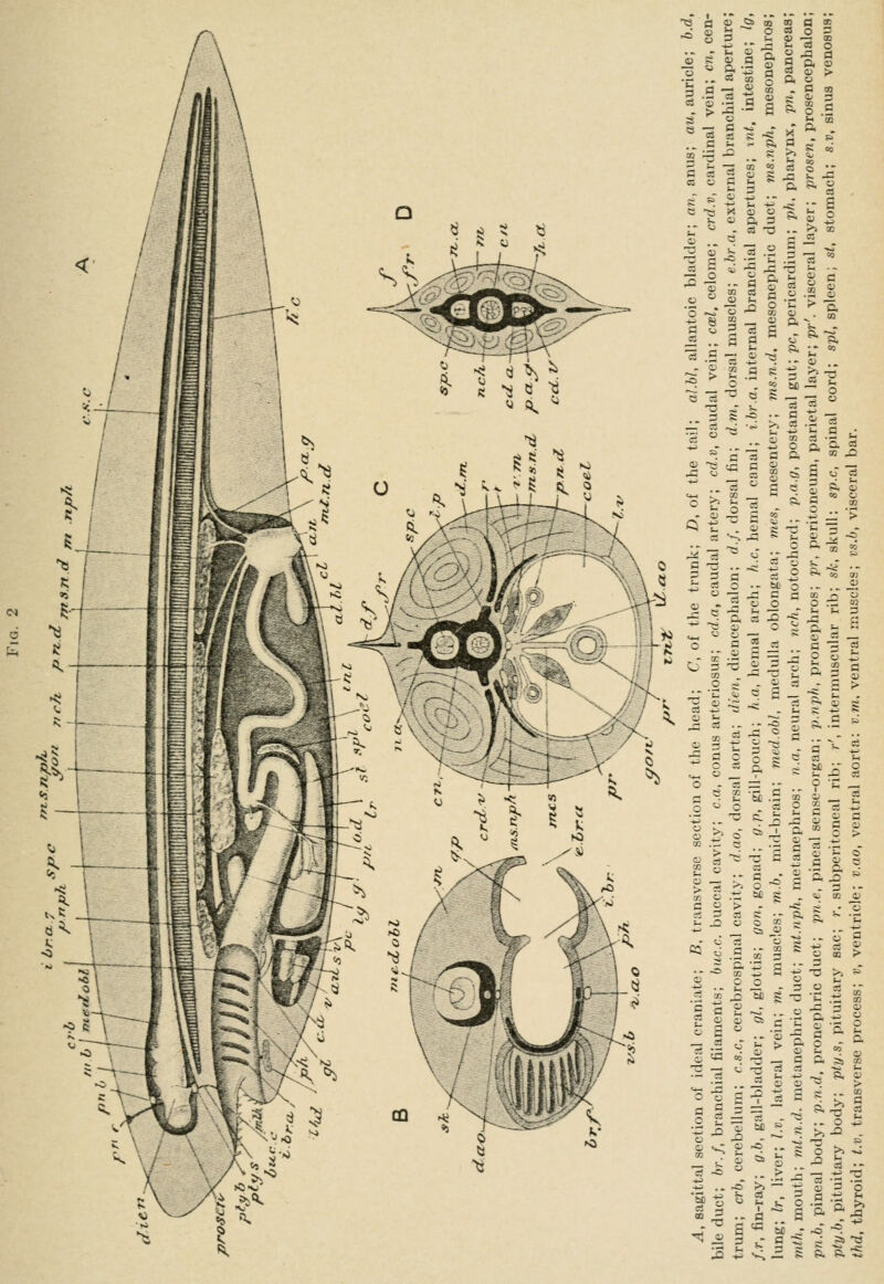 a - ^ I -JB -S s g § allflli S s I § i - S ^- - ' ft  „ § 2 s t a g- ^: 2 so . •■ « o a. 'r o 2 ® ^ 3 .2 S _ -sj _p Ji ft ^ « fl ^ -S -^ « ^: !: s ■J -'!-2l I'M ^ci'Scift.'-^ . ^ ^ - . s «. g §• :d^^£