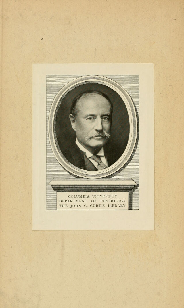 digitised image 2
