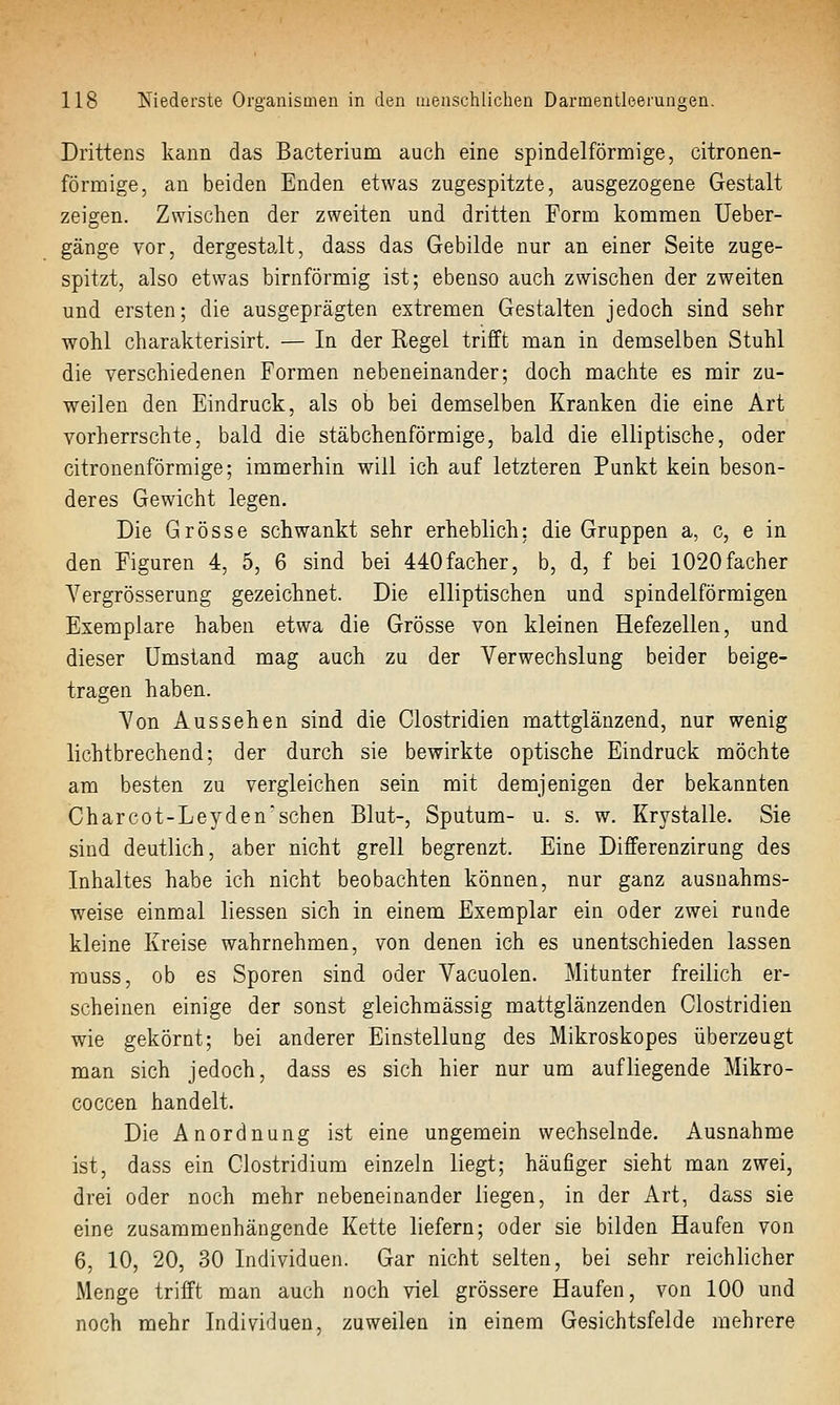 Drittens kann das Bacterium auch eine spindelförmige, citronen- förmige, an beiden Enden etwas zugespitzte, ausgezogene Gestalt zeigen. Zwischen der zweiten und dritten Form komnaen Ueber- gänge vor, dergestalt, dass das Gebilde nur an einer Seite zuge- spitzt, also etwas birnförmig ist; ebenso auch zwischen der zweiten und ersten; die ausgeprägten extremen Gestalten jedoch sind sehr wohl charakterisirt. — In der Regel trifft man in demselben Stuhl die verschiedenen Formen nebeneinander; doch machte es mir zu- weilen den Eindruck, als ob bei demselben Kranken die eine Art vorherrschte, bald die stäbchenförmige, bald die elliptische, oder citronenförmige; immerhin will ich auf letzteren Punkt kein beson- deres Gewicht legen. Die Grösse schwankt sehr erheblich; die Gruppen a, c, e in den Figuren 4, 5, 6 sind bei 440facher, b, d, f bei 1020facher Vergrösserung gezeichnet. Die elliptischen und spindelförmigen Exemplare haben etwa die Grösse von kleinen Hefezellen, und dieser Umstand mag auch zu der Verwechslung beider beige- tragen haben. Von Aussehen sind die Clostridien mattglänzend, nur wenig lichtbrechend; der durch sie bewirkte optische Eindruck möchte am besten zu vergleichen sein mit demjenigen der bekannten Charcot-Leydensehen Blut-, Sputum- u. s. w. Krystalle. Sie sind deutlich, aber nicht grell begrenzt. Eine Differenzirung des Inhaltes habe ich nicht beobachten können, nur ganz ausnahms- weise einmal Hessen sich in einem Exemplar ein oder zwei runde kleine Kreise wahrnehmen, von denen ich es unentschieden lassen rauss, ob es Sporen sind oder Vacuolen. Mitunter freilich er- scheinen einige der sonst gleichmässig mattglänzenden Clostridien wie gekörnt; bei anderer Einstellung des Mikroskopes überzeugt man sich jedoch, dass es sich hier nur um aufliegende Mikro- coccen handelt. Die Anordnung ist eine ungemein wechselnde. Ausnahme ist, dass ein Clostridium einzeln liegt; häufiger sieht man zwei, drei oder noch mehr nebeneinander liegen, in der Art, dass sie eine zusammenhängende Kette liefern; oder sie bilden Haufen von 6, 10, 20, 30 Individuen. Gar nicht selten, bei sehr reichlicher Menge trifft man auch noch viel grössere Haufen, von 100 und noch mehr Individuen, zuweilen in einem Gesichtsfelde mehrere