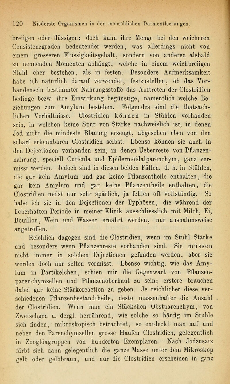 breiigen oder flüssigen; doch kann ihre Menge bei den weicheren Consistenzgraden bedeutender werden, was allerdings nicht von einem grösseren Flüssigkeitsgehalt, sondern von anderen alsbald zu nennenden Momenten abhängt, welche in einem weichbreiigen Stuhl eher bestehen, als in festen. Besondere Aufmerksamkeit habe ich natürlich darauf verwendet, festzustellen, ob das Vor- handensein bestimmter Nahrungsstoffe das Auftreten der Clostridien bedinge bezw. ihre Einwirkung begünstige, namentlich welche Be- ziehungen zum Amylum bestehen. Folgendes sind die thatsäch- lichen Verhältnisse. Clostridien können in Stühlen vorhanden sein, in welchen keine Spur von Stärke nachweislich ist, in denen Jod nicht die mindeste Bläuung erzeugt, abgesehen eben von den scharf erkennbaren Clostridien selbst. Ebenso können sie auch in den Dejectionen vorhanden sein, in denen üeberreste von Pflanzen- nahrung, speciell Cuticula und Epidermoidalparenchym, ganz ver- misst werden. Jedoch sind in diesen beiden Fällen, d. h. in Stühlen, die gar kein Amylum und gar keine Pflanzentheile enthalten, die gar kein Amylum und gar keine Pflanzentheile enthalten, die Clostridien meist nur sehr spärlich, ja fehlen oft vollständig. So habe ich sie in den Dejectionen der Typhösen, die während der fieberhaften Periode in meiner Klinik ausschliesslich mit Milch, Ei, Bouillon, Wein und Wasser ernährt werden, nur ausnahmsweise angetroffen. Reichlich dagegen sind die Clostridien, wenn im Stuhl Stärke und besonders wenn Pflanzenreste vorhanden sind. Sie müssen nicht immer in solchen Dejectionen gefunden werden, aber sie werden doch nur selten vermisst. Ebenso wichtig, wie das Amy- lum in Partikelchen, schien mir die Gegenwart von Pflanzen- parenchymzellen und Pflanzenoberhaut zu sein; erstere brauchen dabei gar keine Stärkereaction zu geben. Je reichlicher diese ver- schiedenen Pflanzenbestandtheile, desto massenhafter die Anzahl der Clostridien. Wenn man ein Stückchen Obstparenchym, von Zwetschgen u. dergl. herrührend, wie solche so häufig im Stuhle sich finden, mikroskopisch betrachtet, so entdeckt man auf und neben den Parenchymzellen grosse Haufen Clostridien, gelegentlich in Zooglöagruppen von hunderten Exemplaren. Nach Jodzusatz färbt sich dann gelegentlich die ganze Masse unter dem Mikroskop gelb oder gelbbraun, und nur die Clostridien erscheinen in ganz