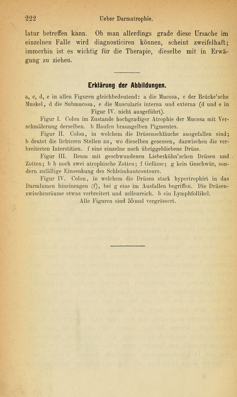 latur betreffen kann. Ob man allerdings grade diese Ursache im einzelnen Falle wird diagnosticiren können, scheint zweifelhaft; immerhin ist es wichtig für die Therapie, dieselbe mit in Erwä- gung zu ziehen. Erklärung der Abbildungen. a, c, d, e in allen Figuren gleichbedeutend: a die Mucosa, c der Brücke'sche Muskel, d die Submucosa, e die Muscularis interna und externa (d und e in Figur lY. nicht ausgeführt). Figur I. Colon im Zustande hochgradiger Atrophie der Mucosa mit Yer- schmälerung derselben, b Haufen braungelben Pigmentes. Figur IL Colon, in welchem die Drüsenschläuche ausgefallen sind; b deutet die lichteren Stellen an, wo dieselben gesessen, dazwischen die ver- breiterten Interstitien. f eine einzelne noch übriggebliebene Drüse. Figur III. Ileum mit geschwuudenen Lieberkühn'schen Drüsen und Zotten; b b noch zwei atrophische Zotten; f Gefässe; g kein Geschwür, son- dern zufällige Einsenkung des Schleimhautcontours. Figur IV. Colon, in welchem die Drüsen stark hypertrophirt in das Darmlumen hineinragen (f), bei g eine im Ausfallen begriffen. Die Drüsen- zwischenräume etwas verbreitert und zellenreich, b ein Lymphfollikel. Alle Fiffuren sind 55 mal vero-rössert.