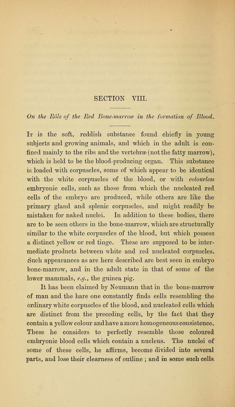 On the Role of the Red Bone-marrow in the formation of Blood. It is the soft, reddish substance found chiefly in young subjects and growing animals, and which in the adult is con- fined mainly to the ribs and the vertebrae (not the fatty marrow), which is held to be the blood-producing organ. This substance is loaded with corpuscles, some of which appear to be identical with the white corpuscles of the blood, or with colourless embryonic cells, such as those fi-om which the nucleated red cells of the embryo are produced, while others are like the primary gland and splenic corpuscles, and might readily be mistaken for naked nuclei. In addition to these bodies, there are to be seen others in the bone-marrow, which are structurally similar to the white corpuscles of the blood, but which possess a distinct yellow or red tinge. These are supposed to be inter- mediate products between white and red nucleated corpuscles- Such appearances as are here described are best seen in embryo bone-marrow, and in the adult state in that of some of the lower mammals, e.g., the guinea pig. It has been claimed by Neumann that in the bone-marrow of man and the hare one constantly finds cells resembling the ordinary white corpuscles of the blood, and nucleated cells which are distinct from the preceding cells, by the fact that they contain a yellow colour andhave amore homogeneous consistence. These he considers to perfectly resemble those coloured embryonic blood cells which contain a nucleus. The nuclei of some of these cells, he affirms, become divided into several parts, and lose their clearness of outline ; and in some such cells.