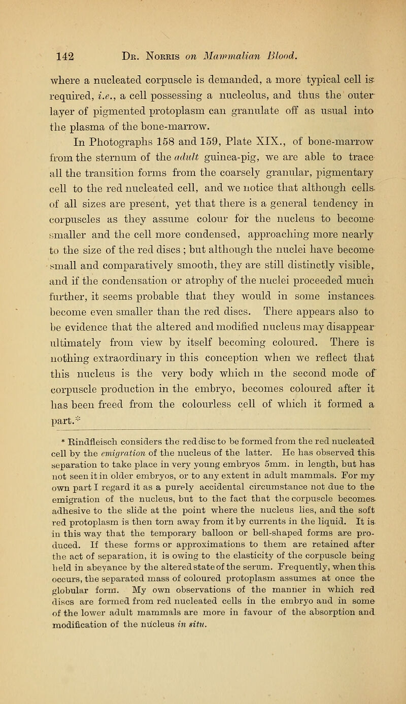 where a nucleated corpuscle is demanded, a more typical cell iff required, i.e., a cell possessing a nucleolus, and thus the outer- layer of pigmented protoplasm can granulate off as usual into the plasma of the bone-marrow. In Photographs 158 and 159, Plate XIX., of bone-marrow from the sternum of the aduJt guinea-pig, we are able to trace all the transition forms from the coarsely granular, i)igmentary cell to the red nucleated cell, and we notice that although cells, of all sizes are present, yet that there is a general tendency in corpuscles as they assume colour for the nucleus to become- smaller and the cell more condensed, approaching more nearly to the size of the red discs ; but although the nuclei have become- small and comparatively smooth, they are still distinctly visible, and if the condensation or atrophy of the nuclei proceeded mucii further, it seems probable that they would in some instances- become even smaller than the red discs. There appears also to be evidence that the altered and modified nucleus may disappear ultimately from view by itself becoming coloured. There is nothing extraordinary in this conception when we reflect that this nucleus is the very body which m the second mode of corpuscle production in the embryo, becomes coloured after it has been freed from the colourless cell of which it formed a part.''' * Eindfleisch considers the red disc to be formed from the red nucleated cell by the eviicjration of the nucleus of the latter. He has observed this separation to take place in very young embryos 5mm. in length, but has not seen it in older embryos, or to any extent in adult mammals. For my own part I regard it as a purely accidental circumstance not due to the emigration of the nucleus, but to the fact that the corpuscle becomes, adhesive to the slide at the point where the nucleus lies, and the soft red protoplasm is then torn away from it by currents in the liquid. It is in this way that the temporary balloon or bell-shaped forms are pro- duced. If these forms or approximations to them are retained after the act of separation, it is owing to the elasticity of the corpuscle being held in abeyance by the altered state of the serum. Frequently, when this- occurs, the sepai-ated mass of coloured protoplasm assumes at once the globular form. My own observations of the manner in which red discs are formed from red nucleated cells iu the embryo and in some of the lower adult mammals are more in favour of the absorption and modification of the nucleus in situ.