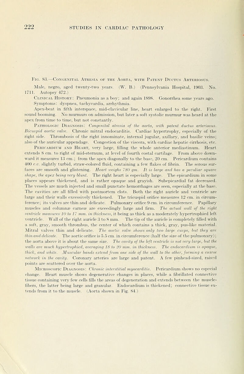 Fig. 83.—Congenital Atresia of the Aorta, with Patent Ductus Arteriosus. Male, negro, aged twenty-two years. (W. B.) (Pennsylvania Hospital, 1903. No. 1711. Autopsy 472.) Clinical History: Pneumonia as a boy; and again 1898. Gonorrhea some years ago. Symptoms: dyspnea, tachycardia, arrhythmia. Apex-beat in fifth interspace, mid-clavicular line, heart enlarged to the right. First sound booming. No murmurs on admission, but later a soft systolic murmur was heard at the apex from time to time, but not constantly. Pathologic Diagnosis: Congenital atresia of the aorta, mth patent ductus arteriosus. Bicuspid aortic valve. Chronic mitral endocarditis. Cardiac hypertrophy, especially of the right side. Thrombosis of the right innominate, internal jugular, axillary, and basilic veins; also of the auricular appendage. Congestion of the viscera, with cardiac hepatic cirrhosis, etc. Pericardium and Heart, very large, filling the whole anterior mediastinum. Heart extends 8 cm. to right of mid-sternum, at level of fourth costal cartilage. From above down- ward it measures 13 cm.; from the apex diagonally to the base, 20 cm. Pericardium contains 400 c.c. shghtly turbid, straw-colored fluid, containing a few flakes of fibrin. The serous sur- faces are smooth and glistening. Heart weighs 780 gm. It is large and has a peculiar square shape, the apex being very blunt. The right heart is especially large. The epicardium in some places appears thickened, and is rather opaque and grayish. Subepicardial fat decreased. The vessels are much injected and small punctate hemorrhages are seen, especially at the base. The cavities are all filled with postmortem clots. Both the right auricle and ventricle are large and their walls excessively thickened. The tricuspid orifice measures 12 cm. in circum- ference; its valves are thin and delicate. Pulmonary orifice 9 cm. in circumference. Papillary muscles and columnee carnese are exceedingly large and firm. The actual wall of the right ventricle measures 10 to IT mm. in thickness, it being as thick as a moderately hypertrophied left ventricle. Wall of the right auricle 3 to 8 mm. The tip of the auricle is completely filled with a soft, gray, smooth thrombus, the center of which contains a thick, gray, pus-like material. Mitral valves thin and delicate. The aortic valve shows only two large cusps, hut they are thin and delicate. The aortic orifice is 5.5 cm. in circumference (half the size of the pulmonary); the aorta above it is about the same size. The cavity of the left ventricle is not very large, but the walls are much hypertrophied, averaging 18 to 20 mm,, in thickness. The endocardium is opaque, thick, and white. Muscular bands extend from one side of the wall to the other, forming a coarse network in the cavity. Coronary arteries are large and patent. A few pinhead-sized, raised points are scattered over the aorta. Microscopic Diagnosis: Chronic interstitial myocarditis. Pericardium shows no especial change. Heart muscle shows degenerative changes in places, while a fibrillated connective tissue containing very few cells fills the areas of degeneration and extends between the muscle- fibers, the latter being large and granular. Endocardium is thickened; connective tissue ex- tends from it to the muscle. (Aorta shown in Fig. 84.)