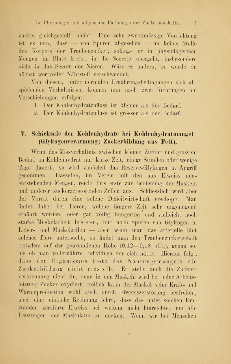 zu('k(M' i^lcichgestclli bleil)t. Eine selir zweckmässige Vorrichtung ist es nun, dass — von Spuren abgesehen — an keiner Stelle des Körpers der Traubenzucker, solange er in physiologischen Mengen im IVlute ki'cist, in die Secrete übergeht, insbesondere nicht in das Secret der Nieren. Ware es anders, so würde ein höchst wertvoller NälirstofF verschwendet. Von diesen, unter noi-malen Ernährungsbediugungen sich ah- spi('leud(Mi Verliältnissen können nun nach zwei Richtungen hi]i Verschiebungen erfolgen: 1. Der Kohlenliydratzulhiss ist Idcinei- als der Bedarf. 2. Der Kohlenhydratzufluss ist grösser als der Bedarf. V. Schicksale der Kohlenhydrate hei KohlenhydratniaHgel (Glykogeiiverarimmg; Zuckerhildimg aus Fett). Wenn das Missverhcältnis zwischen kleiner Zufuhr und grossem Bedarf an Kohlenhydrat nur kurze Zeit, einige Stunden oder wenige Tage dauert, so wird zunächst das Reserve-Glykogen in Angriff genommen. Dasselbe, im Verein mit den aus Eiweiss neu- entstehenden Mengen, reicht fürs erste zur Bedienung der Muskeln und anderer zuckerzerstörenden Zellen aus. Schliesslich wird aber der Vorrat durch eine solche Deficitwirtschaft erschöpft. Man findet daher bei Tieren, welche längere Zeit sehr ungenügend ernährt wurden, oder gar völlig hungerten und vielleicht noch starke Muskelarbeit leisteten, nur noch Spuren von Glykogen in Leber- und Muskelzellen — aber wenn man das arterielle Blut solcher Tiere untersucht, so findet man den Traubenzuckergehalt trotzdem auf der gewöhnlichen Höhe (0,12—0,18 pCt.), genau so, als ob man vollernährte Individuen vor sich hätte. Hieraus folgt, dass der Organismus trotz des Nahrungsmangels die Zuckerbildung nicht einstellt. Er stellt auch die Zucker- verbremumg nicht ein, denn in den Muskeln wird bei jeder Arbeits- leistung Zucker oxydiert; freilich kann der Muskel seine Kraft- und Wärmeproduction wohl auch durch Eiweisszerstörung bestreiten, aber eine einfache Rechnung lehrt, dass das unter solchen Um- ständen zerstörte Eiweiss bei weitem nicht hinreichte, um alle Leistungen der Muskulaiiu' zu decken. Wenn wir bei Menschen