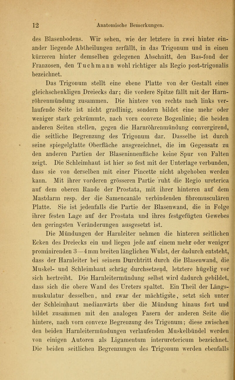 des Blasenbodens. Wir sehen, wie der letztere in zwei hinter ein- ander liegende Abtheilimgen zerfällt, in das Trigonum und in einen kürzeren hinter demselben gelegenen Abschnitt, den Bas-fond der Franzosen, den T ii c h m a n n Avohl richtiger als Regio post-trigonalis bezeichnet. Das Trigonum stellt eine ebene Platte von der Gestalt eines gleichschenkligen Dreiecks dar; die vordere Spitze fällt mit der Harn- röhreumündung zusammen. Die hintere von rechts nach links ver- laufende Seite ist nicht gradlinig, sondern bildet eine mehr oder weniger stark gekrümmte, nach vorn convexe Bogenlinie; die beiden anderen Seiten stellen, gegen die Harnröhrenmündung convergirend, die seitliche Begrenzung des Trigonum dar. Dasselbe ist durch seine spiegelglatte Oberfläche ausgezeichnet, die im Gegensatz zu den anderen Partien der Blaseninnenfläche keine Spur von Falten zeigt. Die Schleimhaut ist hier so fest mit der Unterlage verbunden, dass sie von derselben mit einer Pincette nicht abgehoben werden kann. Mit ihrer vorderen grösseren Partie ruht die Regio ureterica auf dem oberen Rande der Prostata, mit ihrer hinteren auf dem Mastdarm resp. der die Samencanäle verbindenden fibromusculären Platte. Sie ist jedenfalls die Partie der Blasenwand, die in Folge ihrer festen Lage auf der Prostata und ihres festgefügten Gewebes den geringsten Veränderungen ausgesetzt ist. Die Mündungen der Harnleiter nehmen die hinteren seitlichen Ecken des Dreiecks ein und liegen jede auf einem mehr oder weniger prominirenden 3—4mm breiten länglichen Wulst, der dadurch entsteht, dass der Harnleiter bei seinem Durchtritt durch die Blasen wand, die Muskel- und Schleimhaut schräg durchsetzend, letztere hügelig vor sich hertreibt. Die Harnleitermündung selbst wird dadurch gebildet, dass sich die obere Wand des Ureters spaltet. Ein Theil der Längs- muskulatur desselben, und zwar der mächtigste, setzt sich unter der Schleimhaut mediauAvärts über die Mündung hinaus fort und bildet zusammen mit den analogen Fasern der anderen Seite die hintere, nach vorn convexe Begrenzung des Trigonum; diese zwischen j den beiden Harnleitermündungen verlaufenden Muskelbündel werden von einigen Autoren als Ligamentum iiiteruretericura bezeichnet. Die Ijeiden seitlichen Beorenzuusren des Trioonum werden ebenfalls