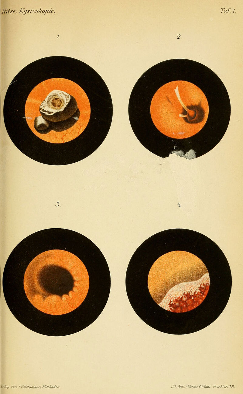 2. 3. erlag von J.FBtrgmcam, Wiesbaden. Utk.AnstvWerner&Winter, Fromkfurt'^M.