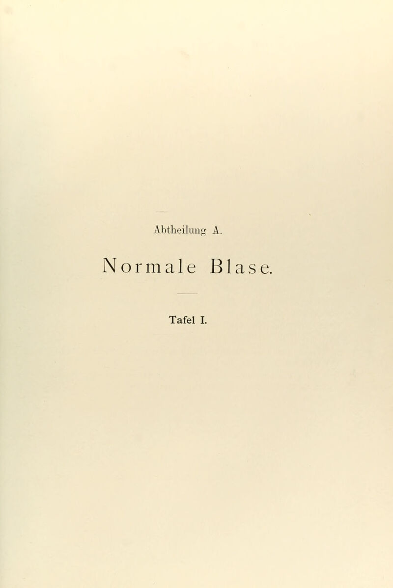 Abtheiliing A. Normale Blase.