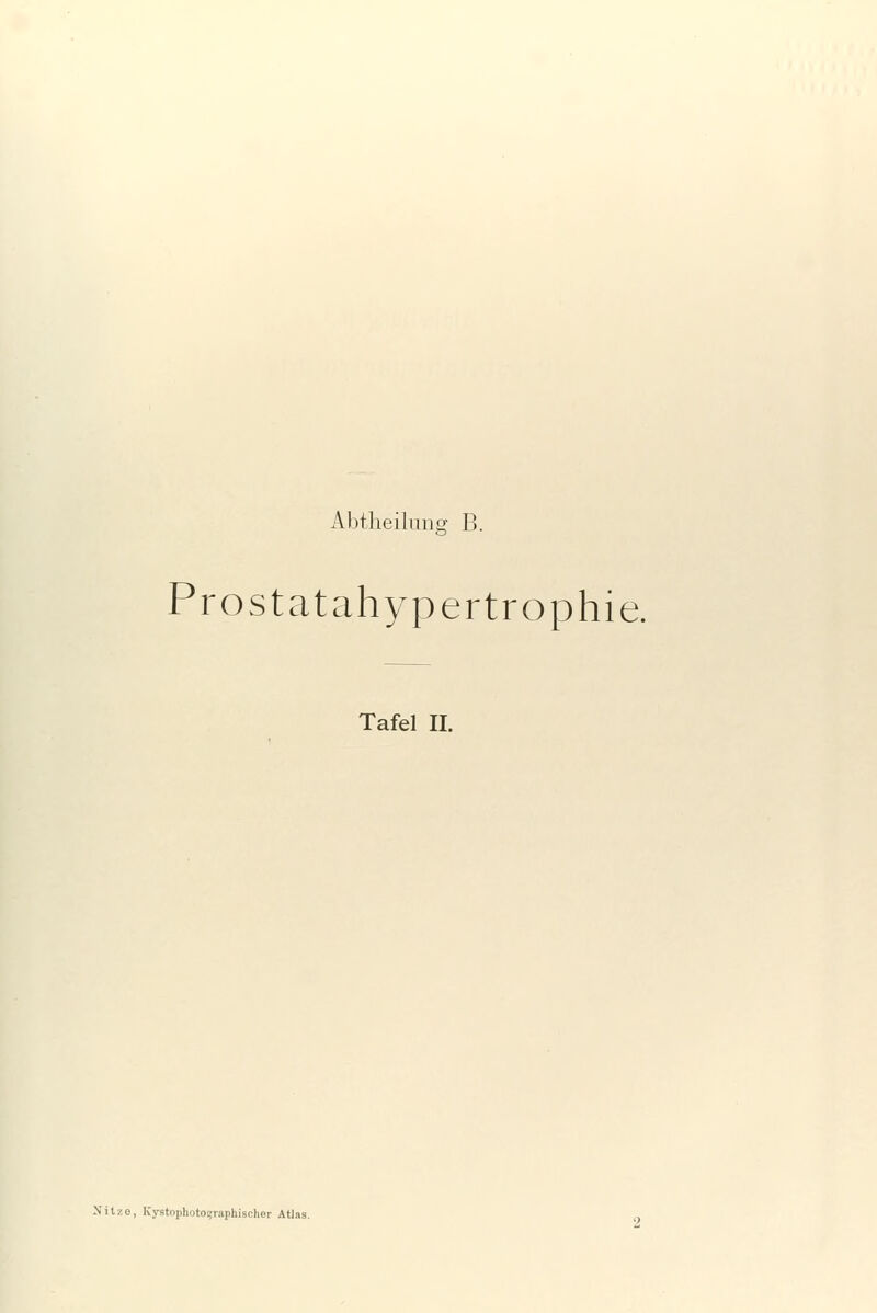 Prostatahypertrophie. Tafel IL Nitzo, Kystophoto?iuphischer Atlas.