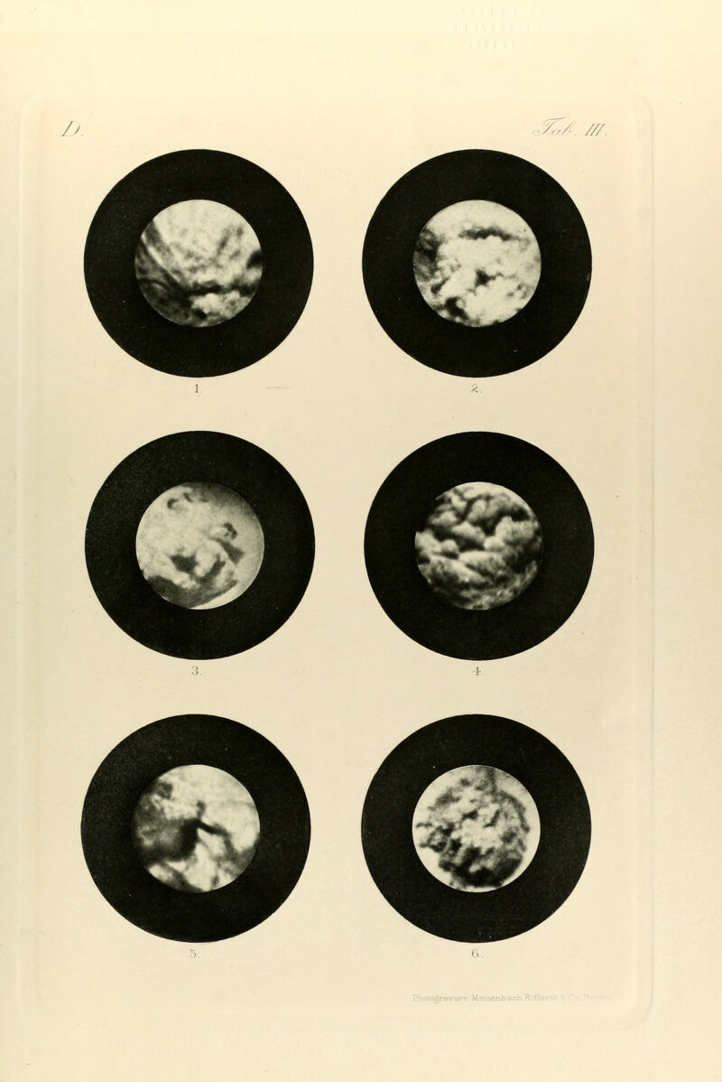 Ij. -X,/ /// PliQiog^avure Meisenbach RitV;