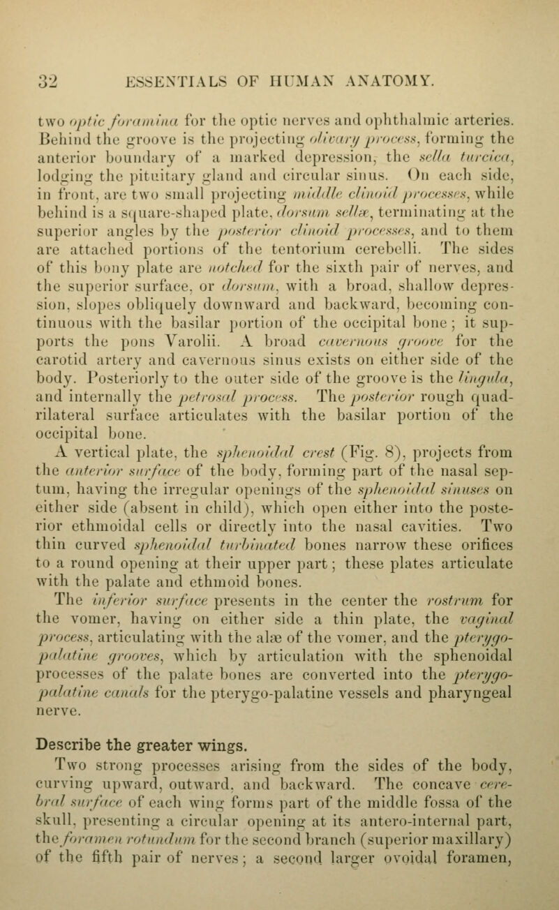 two optic fova mi iia for the optic nerves and ophthalmic arteries. Behind the groove is tlie projecting olicari/ procrss^ forming the anterior boun(hiry of a marked depression, the aclla turcica, lodging the pituitary gland and circular sinus. On each side, in front, are two small projecting middle clinoid proca^afs, while behind is a square-shaped plate, dorsum scJIac, terminating at the superior angles by the posterior clinoid processes, and to them are attached portions of the tentorium cerebelli. The sides of this bony plate are notchi.d for the sixth pair of nerves, and the superior surface, or dorsnni. with a broad, shallow depres- sion, slopes obliquely downward and backward, becoming con- tinuous with the basilar j)ortion of the occipital bone ; it sup- ports the pons Varolii. A broad cavernous groove for the carotid artery and cavernous sinus exists on either side of the body. Posteriorly to the outer side of the groove is the liugida, and internally the petros(d process. The posterior rough quad- rilateral surface articulates with the basilar portion of the occipital bone. A vertical plate, the sphenoidal crest (Fig. 8), projects from the anterior surface of the body, forming part of the nasal sep- tum, having the irregular openings of the sphenoidrd sinuses on either side (absent in child), which open either into the poste- rior ethmoidal cells or directly into the nasal cavities. Two thin curved sphenoidal turhinated bones narrow these orifices to a round opening at their upper part; these plates articulate with the palate and ethmoid bones. The inferior surface presents in the center the rostrum for the vomer, having on either side a thin plate, the vaginal process, articulating with the ala; of the vomer, and the pterijgo- palatine grooves, which by articulation Avith the sphenoidal processes of the palate bones are converted into the pterygo- palatine canals for the pterygo-palatine vessels and pharyngeal nerve. Describe the greater wings. Two strong processes arising from the sides of the body, curving upward, outward, and backward. The concave c^r^- br(d surface of each wing forms part of the middle fossa of the skull, presenting a circular opening at its antero-internal part, the foramen rotundum for the second branch (superior maxillary) of the fifth pair of nerves; a second larger ovoidal foramen,