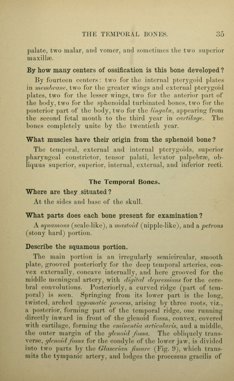 palate, two malar, and vomer, and sometimes the two superior maxillae. By how many centers of ossification is this bone developed ? By fourteen centers: two for the internal pterygoid plates in memhmne, two for the greater wings and external pterygoid plates, two for the lesser wings, two for the anterior part of the body, two for the sphenoidal turbinated bones, two for the posterior part of the body, two for the Ungvlse, appearing from the second fetal month to the third year in cartilage. The bones completely unite by the twentieth year. What muscles have their origin from the sphenoid bone? The temporal, external and internal pterygoids, superior phar3nigeal constrictor, tensor palati, levator palpebrae, ob- liquus superior, superior, internal, external, and inferior recti. The Temporal Bones. Where are they situated? At the sides and base of the skull. What parts does each bone present for examination? A squamous (scale-like), a mastoid (nipple-like), and 2b petrous (stony hard) portion. Describe the squamous portion. The main portion is an irregularly semicircular, smooth plate, grooved posteriorly for the deep temporal arteries, con- vex externally, concave internally, and here grooved for the middle meningeal artery, with digital drpressions for the cere- bral convolutions. Posteriorly, a curved ridge (part of tem- poral) is seen. Springing from its lower part is the long, twisted, arched zygomatic process., arising by three roots, viz., a posterior, forming part of the temporal ridge, one running directly inward in front of the glenoid fossa, convex, covered with cartilage, forming the emiiicntia articularis., and a middle, the outer margin of the glenoid fossa. The obli((uely trans- verse, glenoid fossa for the condyle of the lower jaw, is divided into two parts by the Glaserian fssurr (Fig. 0), which trans- mits the tympanic artery, and lodges the processus gracilis of