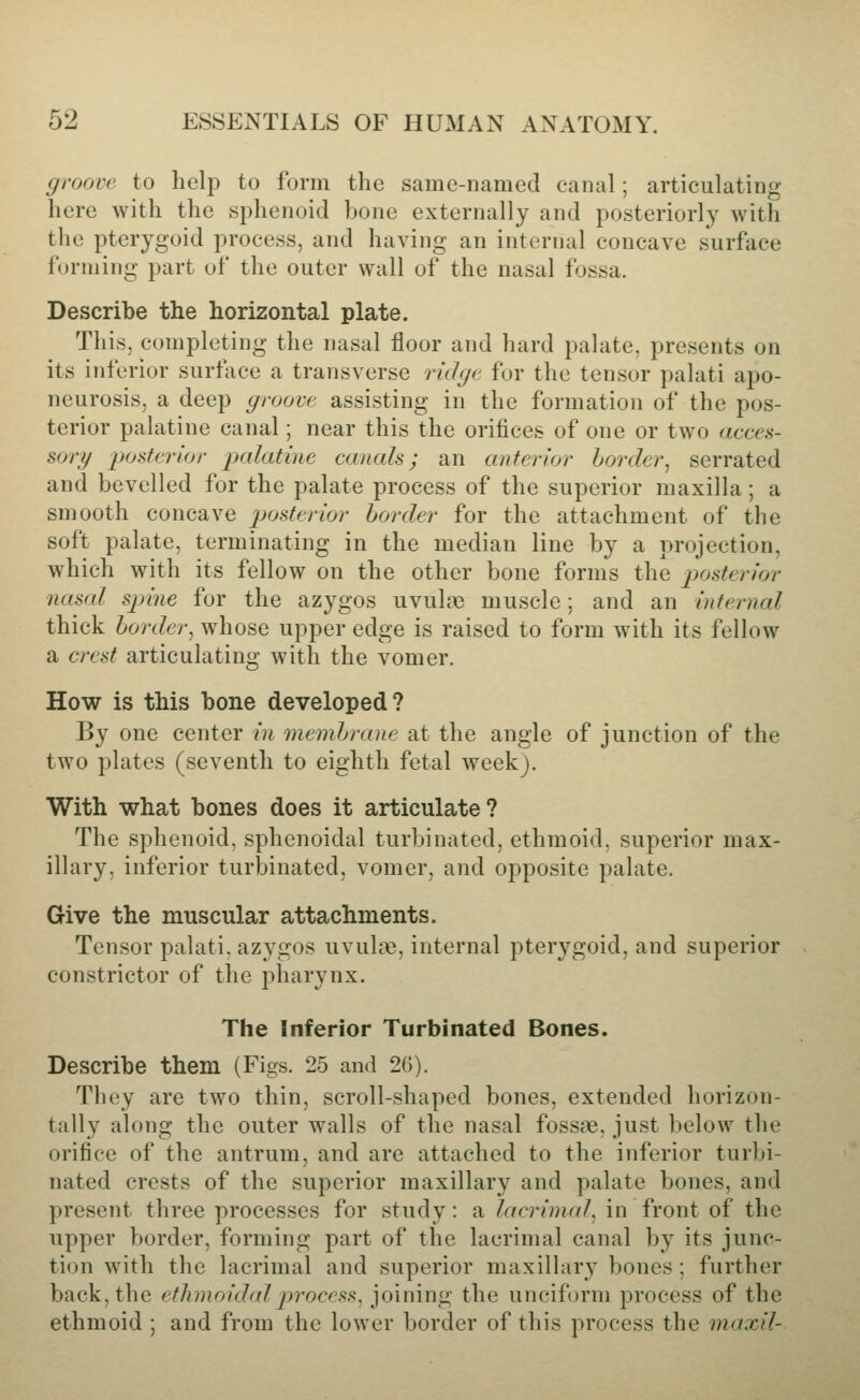 groove to help to form the same-named canal; articulating here with the sphenoid bone externally and posteriorly with the pterygoid process, and having an internal concave surface forming part of the outer wall of the nasal fossa. Describe the horizontal plate. This, completing the nasal floor and hard palate, presents on its inferior surface a transverse rulgc for the tensor palati apo- neurosis, a deep groove assisting in the formation of the pos- terior palatine canal; near this the orifices of one or two acces- sory posterior palatine canals; an anterior border^ serrated and bevelled for the palate process of the superior maxilla; a smooth concave posterior horder for the attachment of the soft palate, terminating in the median line by a projection, which with its fellow on the other bone forms the posterior nasal spine for the azygos uvuloe muscle; and an internal thick horder^ whose upper edge is raised to form with its fellow a crest articulating with the vomer. How is this bone developed? By one center in membrane at the angle of junction of the two plates (seventh to eighth fetal weekj. With what bones does it articulate ? The sphenoid, sphenoidal turbinated, ethmoid, superior max- illary, inferior turbinated, vomer, and opposite palate. Give the muscular attachments. Tensor palati. azygos uvulae, internal pterygoid, and superior constrictor of the pharynx. The Inferior Turbinated Bones. Describe them (Figs. 25 and 26). They are two thin, scroll-shaped bones, extended horizon- tally along the outer walls of the nasal fossae, just below the orifice of the antrum, and are attached to the inferior turbi- nated crests of the superior maxillary and palate bones, and present three processes for study: a lacrimal, in front of the upper border, forming part of the lacrimal canal by its junc- tion with the lacrimal and superior maxillary bones ; further back, the ethmoidal j)Tocess, joining the unciform process of the ethmoid ; and from the lower border of this process the maxil-