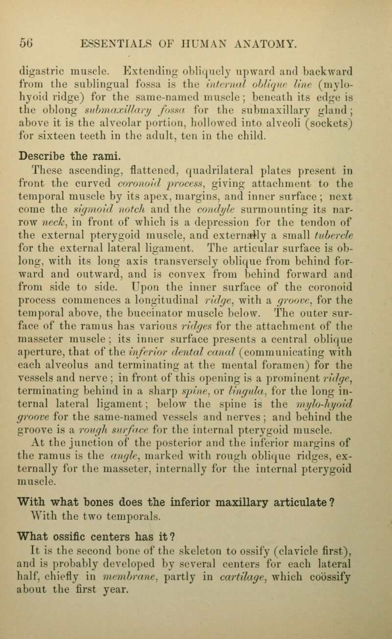 digastric muscle. Extending obliquely upward and backward from the sublingual fossa is the internal ohlique line (mylo- hyoid ridge) for the same-named muscle; beneath its edge is the oblong suhmaxillari/ fos.sa for the submaxillary gland; above it is the alveolar portion, hollowed into alveoli (sockets) for sixteen teeth in the adult, ten in the child. Describe the rami. These ascending, flattened, quadrilateral plates present in front the curved coronoid process^ giving attachment to the temporal muscle by its apex, margins, and inner surface ; next come the sigmoid notch and the condyle surmounting its nar- row neck, in front of which is a depression for the tendon of the external pterygoid muscle, and externarHy a small tubercle for the external lateral ligament. The articular surface is ob- long, with its long axis transversely oblique from behind for- ward and outward, and is convex from behind forward and from side to side. Upon the inner surface of the coronoid process commences a longitudinal ridge, with a groove, for the temporal above, the buccinator muscle below. The outer sur- face of the ramus has various ridges for the attachment of the masseter muscle ; its inner surface presents a central oblique aperture, that of the inferior dental canal (communicating with each alveolus and terminating at the mental foramen) for the vessels and nerve ; in front of this opening is a prominent ridge, terminating behind in a sharp sjyine, or lingnla, for the long in- ternal lateral ligament; below the spine is the mi/lo-hyoid groove for the same-named vessels and nerves ; and behind the groove is a rongli surface for the internal pterygoid muscle. At the junction of the posterior and the inferior margins of the ramus is the angle, marked with rough oblique ridges, ex- ternally for the masseter, internally for the internal pterygoid muscle. With what bones does the inferior maxillary articulate? With the two temporals. What ossific centers has it? It is the second bone of the skeleton to ossify (clavicle first), and is probably developed by several centers for each lateral half, chiefly in menihrane, partly in cartilage, which coiissify about the first year.