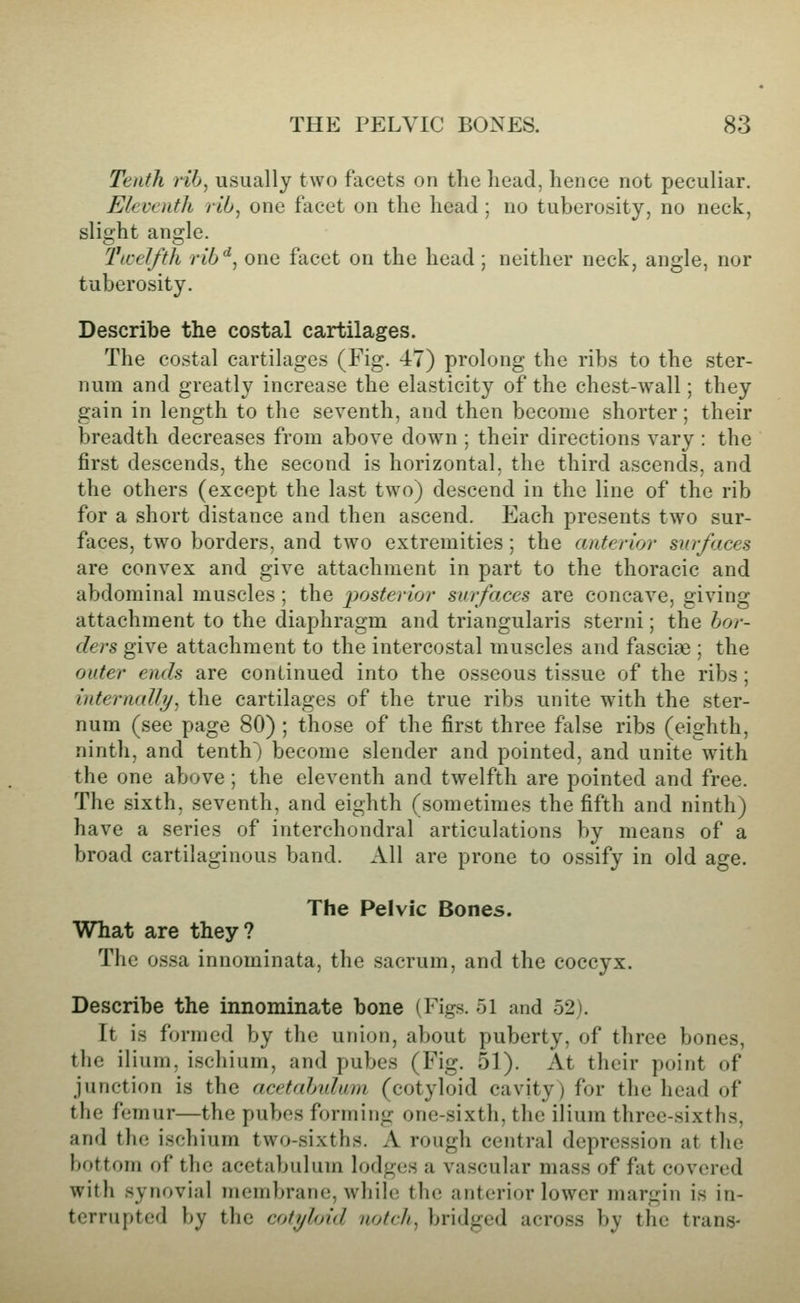 Tenth rib, usually two facets on the head, hence not peculiar. Eleventh rib, one facet on the head ; no tuberosity, no neck, slight angle. Ticelfth rib'^, one facet on the head; neither neck, angle, nor tuberosity. Describe the costal cartilages. The costal cartilages (Fig. 47) prolong the ribs to the ster- num and greatly increase the elasticity of the chest-wall; they gain in length to the seventh, and then become shorter; their breadth decreases from above down ; their directions vary : the first descends, the second is horizontal, the third ascends, and the others (except the last two) descend in the line of the rib for a short distance and then ascend. Each presents two sur- faces, two borders, and two extremities ; the anterior surfaces are convex and give attachment in part to the thoracic and abdominal muscles ; the j^^^sterirjr surfaces are concave, giving attachment to the diaphragm and triangularis sterni; the bor- ders give attachment to the intercostal muscles and fasciae ; the outer ends are continued into the osseous tissue of the ribs ; internally, the cartilages of the true ribs unite w^ith the ster- num (see page 80) ; those of the first three false ribs (eighth, ninth, and tenth) become slender and pointed, and unite with the one above ; the eleventh and twelfth are pointed and free. The sixth, seventh, and eighth (sometimes the fifth and ninth) have a series of interchondral articulations by means of a broad cartilaginous band. All are prone to ossify in old age. The Pelvic Bones. What are they? The ossa innominata, the sacrum, and the coccyx. Describe the innominate bone (Figs. 51 and 52). It is formed by the union, about puberty, of three bones, the ilium, ischium, and pubes (Fig. 51). At their point of junction is the acetahidum (cotyloid cavity) for the head of the femur—the pubes forming one-sixth, the ilium three-sixths, and the ischium two-sixths. A rough central depression at the bottom of the acetabulum lodges a vascular mass of fat covered with synovial membrane, while the anterior lower margin is in- terrupted by the cotyloid notch, bridged across by the trans-