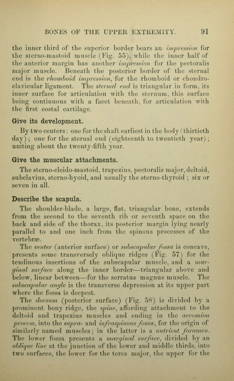 the inner third of the superior border bears an impression for the sterno-mastoid muscle (Fig. 55), while the inner half of the anterior margin has another impression for the pectoralis major muscle. Beneath the posterior border of the sternal end is the rhomboid impression^ for the rhomboid or chondro- clavicular ligament. The sternal end is triangular in form, its inner surface for articulation with the sternum, this surface being continuous with a facet beneath, for articulation with the first costal cartilage. Give its development. By two centers: one for the shaft earliest in the body Tthirtieth day) ; one for the sternal end (eighteenth to twentieth year); uniting about the twenty-fifth year. Give the muscular attachments. The sterno-cleido-mastoid, trapezius, pectoralis major, deltoid, subclavius, sterno-hyoid, and usually the sterno-thyroid ; six or seven in all. Describe the scapula. The shoulder-blade, a large, flat, triangular bone, extends from the second to the seventh rib or seventh space on the back and side of the thorax, its posterior margin lying nearly parallel to and one inch from the spinous processes of the vertebrae. The venter (anterior surface) or subscapular fossa is concave, presents some transversely oblique ridges (Fig. 57) for the tendinous insertions of the subscapular muscle, and a mar- ginal surface along the inner border—triangular above and below, linear between—for the serratus magnus muscle. The suhscapmlar angle is the transverse depression at its upper part where the fossa is deepest. The dorsum (posterior surface) (Fig. 58) is divided by a prominent bony ridge, the spine^ affording attachment to the deltoid and trapezius muscles and ending in the acromion process, into the supra- and infrasp!nous f(jssf£, for the origin of similarly named muscles; in the latter is a nutrient foramen. The lower fossa presents a marrjinal surface, divided by an ohlique line at the junction of the lower and middle thirds, into two surfaces, the lower for the teres major, the upper for the