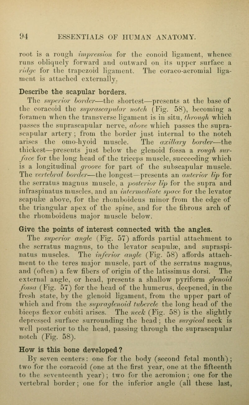 root is a rough iinpressioii for the conoid ligament, whence runs obliquely forward and outward on its upper surface a ridge for the trapezoid ligament. The coraco-acromial liga- ment is attached externally. Describe the scapular borders. The superior border—the shortest—presents at the base of the coracoid the suprascapular notch (Fig. 58), becoming a foramen when the transverse ligament is in situ, through which passes the suprascapular nerve, above wdiich passes the supra- scapular artery ; from the border just internal to the notch arises the omo-hyoid muscle. The axillary border—the thickest—presents just below the glenoid fossa a rough sur- face for the long head of the triceps muscle, succeeding which is a longitudinal groove for part of the subscapular muscle. The vertebral border—the longest—presents an anterior lip for the serratus magnus muscle, a iwsterior lip for the supra and infraspinatus muscles, and an interinediate space for the levator scapula) above, for the rhomboideus minor from the edge of the triangular apex of the spine, and for the fibrous arch of the rhomboideus major muscle below. Give the points of interest connected with the angles. The superior angle (Fig. 57) affords partial attachment to the serratus magnus, to the levator scapulae, and supraspi- natus muscles. The inferior angle (Fig. 58) affords attach- ment to the teres major muscle, part of the serratus magnus, and (often) a few fibers of origin of the latissimus dorsi. The external angle, or head, presents a shallow pyriform glenoid fossa (Fig. 57) for the head of the humerus, deepened, in the fresh state, by the glenoid ligament, from the upper part of which and from the su-praglenoid tubercle the long head of the biceps flexor cubiti arises. The nech (Fig. 58) is the slightly depressed surface surrounding the head ; the surgical neck is well posterior to the head, passing through the suprascapular notch (Fig. 58). How is this bone developed? By seven centers: one for the body (second fetal month) ; two for the coracoid (one at the first year, one at the fifteenth to the seventeenth year) ; two for the acromion ; one for the vertebral border; one for the inferior angle (all these last,