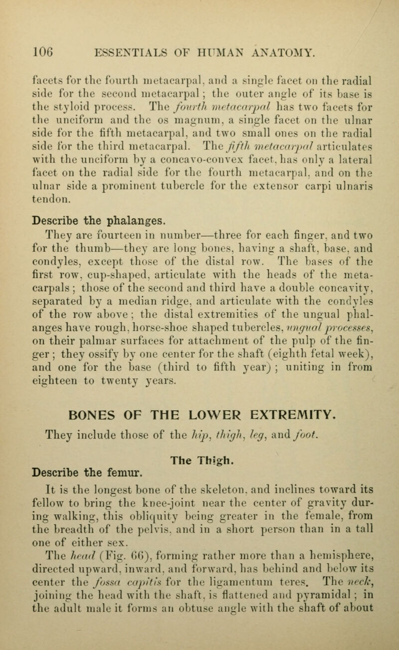 facets for the fourth metacarpal, and a single facet on the radial side for the second metacarpal ; the outer angle of its base is the styloid process. The fourth metacarpal has two facets for the unciform and the os magnum, a single fjK-et on the ulnar side for the fifth metacarpal, and two small ones on the radial side for the third metacarpal. The Ji/th metacarpal articulates with the unciform by a concavo-convex facet, has only a lateral facet on the radial side for the fourth metacarpal, and on the ulnar side a prominent tubercle for the extensor carpi ulnaris tendon. Describe the phalanges. They are fourteen in number—three for each finger, and two for the thumb—they are long bones, having a shaft, base, and cond3^1es, except those of the distal row. The bases of the first row. cup-shaped, articulate with the heads of the meta- carpals ; those of the second and third have a double concavity, separated by a median ridge, and articulate with the condyles of the row above ; the distal extremities of the ungual phal- anges have rough, horse-shoe shaped tubercles, ungual proce.^ses, on their palmar surfaces for attachment of the pulp of the fin- ger ; they ossify by one center for the shaft (eighth fetal week), and one for the base (third to fifth year) ; uniting in from eighteen to twenty years. BONES OF THE LOWER EXTREMITY. They include those of the hip, f^'f'ff^i, ^^ff, andyoo^ The Thigh. Describe the femur. It is the longest bone of the skeleton, and inclines toward its fellow to bring the knee-joint near the center of gravity dur- ing walking, this obliquity being greater in the female, from the breadth of the pelvis, and in a short person than in a tall one of either sex. The head (Fig. GO), forming rather more than a hemisphere, directed upward, inward, and forward, has behind and below its center the fossa capitis for the ligamentum teres. The neck, joining the head with the shaft, is flattened and pyramidal ; in the adult male it forms an obtuse anirle with the shaft of about
