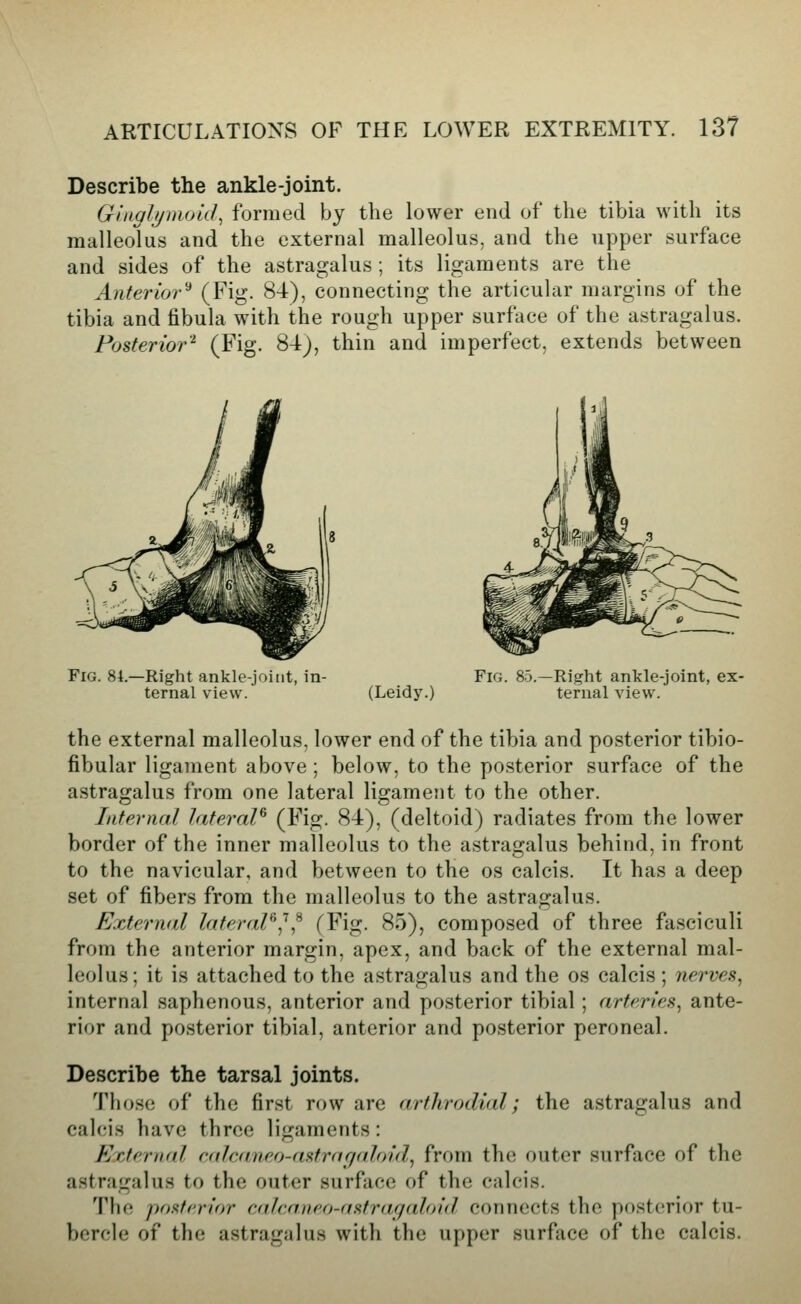 Describe the ankle-joint. Guiglymoid, formed by the lower end of the tibia with its malleolus and the external malleolus, and the upper surface and sides of the astragalus ; its ligaments are the Anterior'* (Fig- 8-1), connecting the articular margins of the tibia and fibula with the rough upper surface of the astragalus. Posterior'^ (Fig- 84), thin and imperfect, extends between Fig. 84.—Right ankle-joint, in- ternal view. (Leidy.) Fig. 85.—Right ankle-joint, ex- ternal view. the external malleolus, lower end of the tibia and posterior tibio- fibular ligament above; below, to the posterior surface of the astragalus from one lateral ligament to the other. Interned lateral^ (Fig- 84), (deltoid) radiates from the lower border of the inner malleolus to the astragalus behind, in front to the navicular, and between to the os calcis. It has a deep set of fibers from the malleolus to the astragalus. External lateral'^^^ (Fig. 85), composed of three fa.sciculi from the anterior margin, apex, and back of the external mal- leolus; it is attached to the astragalus and the os calcis ; nerves, internal saphenous, anterior and posterior tibial; arteries, ante- rior and posterior tibial, anterior and posterior peroneal. Describe the tarsal joints. Those of the first rcnv are arthrodial; the astragalus and calcis have three ligaments: ErJernal rdlcaneo-astrnrfdloid, from the outer surface of the astragalus to the outer surface of the calcis. The posterior calcaneo-astraffaloid connects the posterior tu- bercle of the astragalus with the upper surface of the calcis.