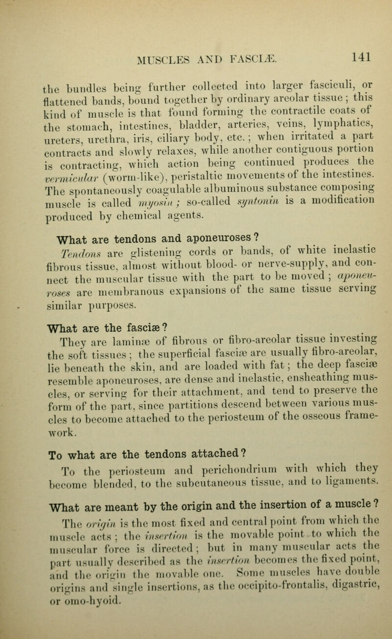 the bundles being further collected into larger fasciculi, or flattened bands, bound together by ordinary areolar tissue ; this kind of muscle is that found forming the contractile coats of the stomach, intestines, bladder, arteries, veins, lymphatics, ureters, urethra, iris, ciliary body, etc. ; when irritated a part contracts and slowly relaxes, while another contiguous portion is contracting, which action being continued produces the vermicular (worm-like), peristaltic movements of the intestines. The spontaneously coagulable albuminous substance composing muscle is called myoi^in ; so-called ayntonin is a modification produced by chemical agents. What are tendons and aponeuroses ? Tendons are glistening cords or bands, of white inelastic fibrous tissue, almost without blood- or nerve-supply, and con- nect the muscular tissue with the part to be moved ; aponeu- roses are membranous expansions of the same tissue serving similar purposes. What are the fasciae? They are laminae of fibrous or fibro-areolar tissue investing the soft tissues ; the superficial fascic^- are usually fibro-areolar, lie beneath the skin, and are loaded with fat; the deep fasciaB resemble aponeuroses, are dense and inelastic, ensheathing mus- cles, or serving for their attachment, and tend to preserve the form of the part, since partitions descend between various mus- cles to become attached to the periosteum of the osseous frame- work. To what are the tendons attached? To the periosteum and perichondrium with which they become blended, to the subcutaneous tissue, and to ligaments. What are meant by the origin and the insertion of a muscle ? The orupn is the most fixed and central point from which the muscle acts ; the insertion is the movable point to which the muscular force is directed ; but in many muscular acts the part usually described as the insertion becomes the fixed point, and the oriuin the movable one. Some muscles have double origins and single insertions, as the occipito-frontalis, digastric, or omo-hyoid.