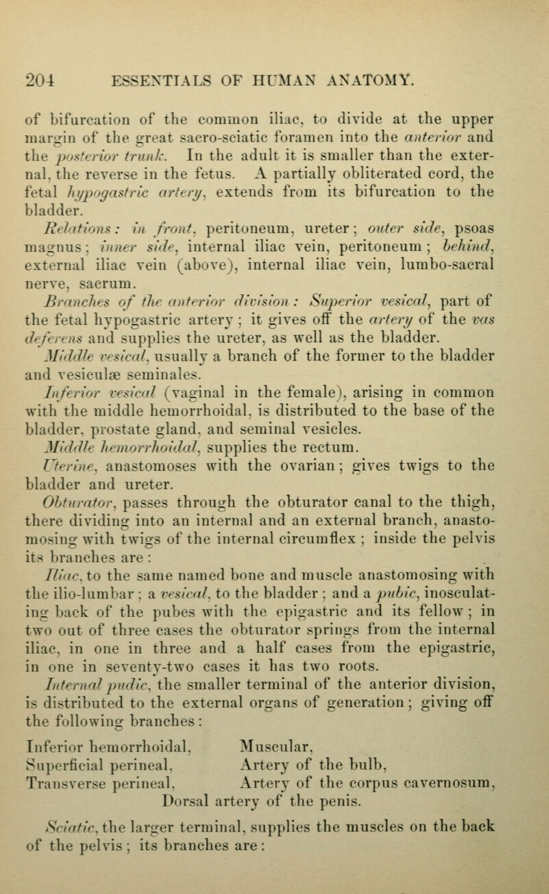 of bifurcation of the common iliac, to divide at the upper mari^in of the great sacro-sciatic foramen into the anterior and the posterior trun/:. In the adult it is smaller than the exter- nal, the reverse in the fetus. A partially obliterated cord, the fetal hypogastric artery^ extends from its bifurcation to the bladder. Relations: in front, peritoneum, ureter; outer side, psoas magnus; inner side, internal iliac vein, peritoneum; behind, external iliac vein (above), internal iliac vein, lumbo-sacral nerve, sacrum. Branches of the anterior division : Superior vesical, part of the fetal hypogastric artery-; it gives off the artery of the vas deferens and supplies the ureter, as well as the bladder. Middle vesical, usually a branch of the former to the bladder and vesiculae seminales. Inferior vesical (vaginal in the female), arising in common with the middle hemorrhoidal, is distributed to the base of the bladder, prostate gland, and seminal vesicles. Middle hemorrhoidal, supplies the rectum. Uterine, anastomoses with the ovarian; gives twigs to the bladder and ureter. Ohturator, passes through the obturator canal to the thigh, there dividing into an internal and an external branch, anasto- mosing with twigs of the internal circumflex ; inside the pelvis its branches are : Iliac, to the same named bone and muscle anastomosing with the ilio-lumbar ; a vesiad, to the bladder ; and a pubic, inosculat- ing back of the pubes with the epigastric and its fellow ; in two out of three cases the obturator springs from the internal iliac, in one in three and a half cases from the epigastric, in one in seventy-two cases it has two roots. Internalpudic. the smaller terminal of the anterior division, is distributed to the external organs of generation; giving off the following branches: Inferior hemorrhoidal, Muscular, Superficial perineal. Artery of the bulb, Transverse perineal. Artery of the corpus cavernosum, Dorsal artery of the penis. tSciatic, the larger terminal, supplies the muscles on the back of the pelvis ; its branches are :