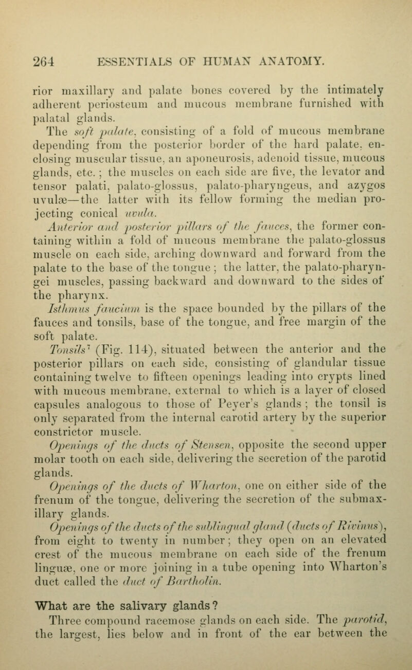 rior maxillary and palate bones covered by the intimately adherent periosteum and mucous membrane furnished with palatal glands. The 8oft palate, consisting of a fold of mucous membrane depending from the posterior border of the hard palate, en- closing muscular tissue, an aponeurosis, adenoid tissue, mucous glands, etc.; the muscles on each side are five, the levator and tensor palati. palato-glossus, palato-pharyngeus, and azygos uvulffi—the latter with its fellow forming the median pro- jecting conical uvula. Anterior and posterior jnllars of the fauces., the former con- taining within a fold of mucous membrane the palato-glossus muscle on each side, arching downward and forward from the palate to the base of the tongue ; the latter, the palato-pharyn- gei muscles, passing backward and downward to the sides of the pharynx. Isthmus fauciuui is the space bounded by the pillars of the fauces and tonsils, base of the tongue, and free margin of the soft palate. Tonsils' (Fig. 114). situated between the anterior and the posterior pillars on each side, consisting of glandular tissue containing twelve to fifteen openings leading into crypts lined with mucous membrane, external to which is a layer of closed capsules analogous to those of Peyer's glands ; the tonsil is only separated from the internal carotid artery by the superior constrictor muscle. Openings of the ducts rf Stensen. opposite the second upper molar tooth on each side, delivering the secretion of the parotid glands. Openings of the ducts of Wharton, one on either side of the frenum of the tongue, delivering the secretion of the submax- illary glands. Openings of the ducts of the suhlingiial gland {ducts of Ri duns'), from eight to twenty in number; they open on an elevated crest of the mucous membrane on each side of the frenum linguae, one or more joining in a tube opening into Wharton's duct called the dnct of Bartholin. What are the salivary glands? Three compound racemose glands on each side. The parotid, the largest, lies below and in front of the ear between the