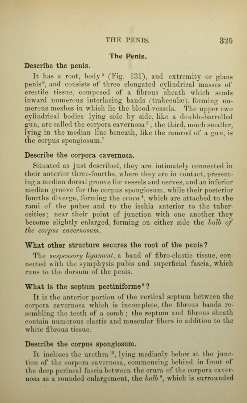 The Penis. Describe the penis. It has a root, body ^ (Fig. 131), and extremity or glans penis^, and consists of three elongated cylindrical masses of erectile tissue, composed of a fibrous sheath which sends inward numerous interlacing bands (trabeculae), forming nu- merous meshes in which lie the blood-vessels. The upper two cylindrical bodies lying side by side, like a double-barrelled gun, are called the corpora cavernosa ^; the third, much smaller, lying in the median line beneath, like the ramrod of a gun, is the corpus spongiosum.'^ Describe the corpora cavernosa. Situated as just described, they are intimately connected in their anterior three-fourths, where they are in contact, present- ing a median dorsal groove for vessels and nerves, and an inferior median groove for the corpus spongiosum, while their posterior fourths diverge, forming the crura *, which are attached to the rami of the pubes and to the ischia anterior to the tuber- osities ; near their point of junction with one another they become slightly enlarged, forming on either side the bulb of the corjnis cavernosum. What other structure secures the root of the penis ? The sxspensior}/ ligament, a band of fibro-elastic tissue, con- nected with the symphysis pubis and superficial fascia, which runs to the dorsum of the penis. What is the septum pectiniforme ^ ? It is the anterior portion of the vertical septum between the corpora cavernosa which is incomplete, the fibrous bands re- sembling the teeth of a comb ; the septum and fibrous sheath contain numerous elastic and muscular fibers in addition to the white fibrous tissue. Describe the corpus spongiosum. It incloses the urethra '^ lying mcdianly below at the junc- tion of the corpctra cavernosa, commencing beliind in front of the deep perineal fascia between the crura of the corpora caver- nosa as a rounded enlargement, the bulb **, which is surrounded