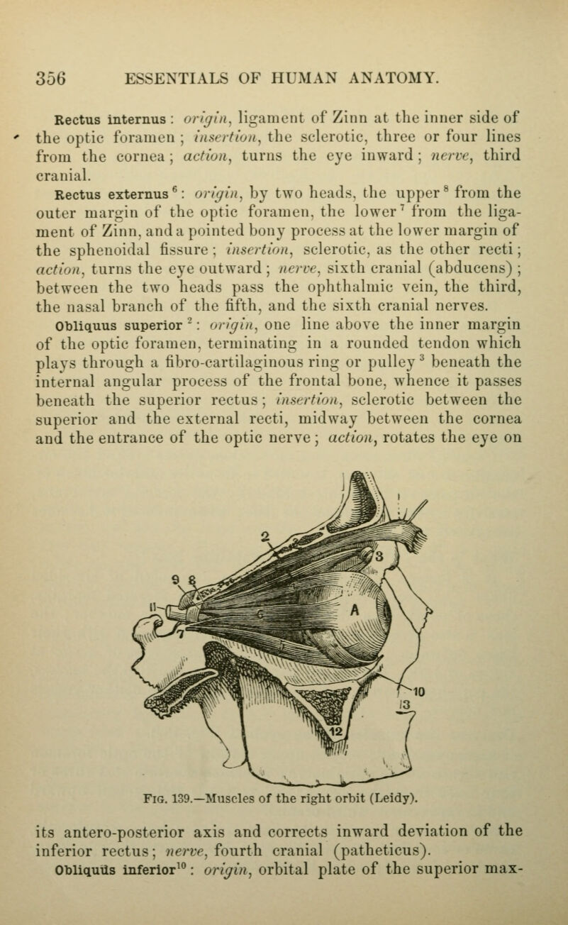 Rectus internus : origin, ligament of Zinn at the inner side of the optic foramen ; insertion, the sclerotic, three or four lines from the cornea ; action, turns the eye inward; nerve, third cranial. Rectus externus^: origin, by two heads, the upper ^ from the outer margin of the optic foramen, the lower ^ from the liga- ment of Zinn, and a pointed bony process at the lower margin of the sphenoidal fissure ; insertion, sclerotic, as the other recti; action, turns the eye outward; nerve, sixth cranial (abducens) ; between the two heads pass the ophthalmic vein, the third, the nasal branch of the fifth, and the sixth cranial nerves. Obliquus superior ^: origin, one line above the inner margin of the optic foramen, terminating in a rounded tendon which plays through a fibro-cartilaginous ring or pulley ^ beneath the internal angular process of the frontal bone, whence it passes beneath the superior rectus; insertion, sclerotic between the superior and the external recti, midway between the cornea and the entrance of the optic nerve; action, rotates the eye on Fig. 139.—Muscles of the right orbit (Leidy). its antero-posterior axis and corrects inward deviation of the inferior rectus; nerve, fourth cranial (patheticus). Obliquiis inferior^: origin, orbital plate of the superior max-