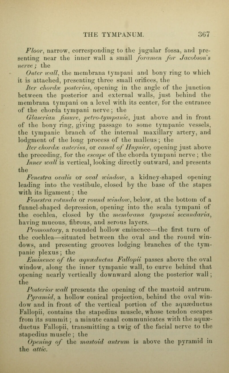 Floor^ narrow, corresponding to the jugular fossa, and pre- senting near the inner wall a small foramen for Jacohsons nerve ; the Outer icall, the membrana tympani and bony ring to which it is attached, presenting three small orifices, the Iter chordae posterixs, opening in the angle of the junction between the posterior and external walls, just behind the membrana tympani on a level with its center, for the entrance of the chorda tympani nerve; the Glaserian fissure^ 'petro-tym'pamc^ just above and in front of the bony ring, giving passage to some tympanic vessels, the tympanic branch of the internal maxillary artery, and lodgment of the long process of the malleus; the Iter chordse aiiterius, or canal of Huguier^ opening just above the preceding, for the escape of the chorda tympani nerve ; the Inner wall is vertical, looking directly outward, and presents the Fenestra ovalls or oval window, a kidney-shaped opening leading into the vestibule, closed by the base of the stapes with its ligament; the Fenestra rotunda or round im'ndow, below, at the bottom of a funnel-shaped depression, opening into the scala tympani of the cochlea, closed by the membrana tympani secundaria, having mucous, fibrous, and serous layers. Promontory, a rounded hollow eminence—the first turn of the cochlea—situated between the oval and the round win- dows, and presenting grooves lodging branches of the tym- panic plexus; the Eminence of the aqnsedvctus Fallopii passes above the oval window, along the inner tympanic wall, to curve behind that opening nearly vertically downward along the posterior wall; the Posterior wall presents the opening of the mastoid antrum. Pyramid, a hollow conical projection, behind the oval win- dow and in front of the vertical portion of the aquacductus Fallopii, contains the stapedius muscle, whose tendon escapes from its summit; a minute canal communicates with the aquae- ductus Fallopii, transmitting a twig of the facial nerve to the stapedius muscle ; the Ojteniny of the mastoid antrum is above the pyramid in the attic.