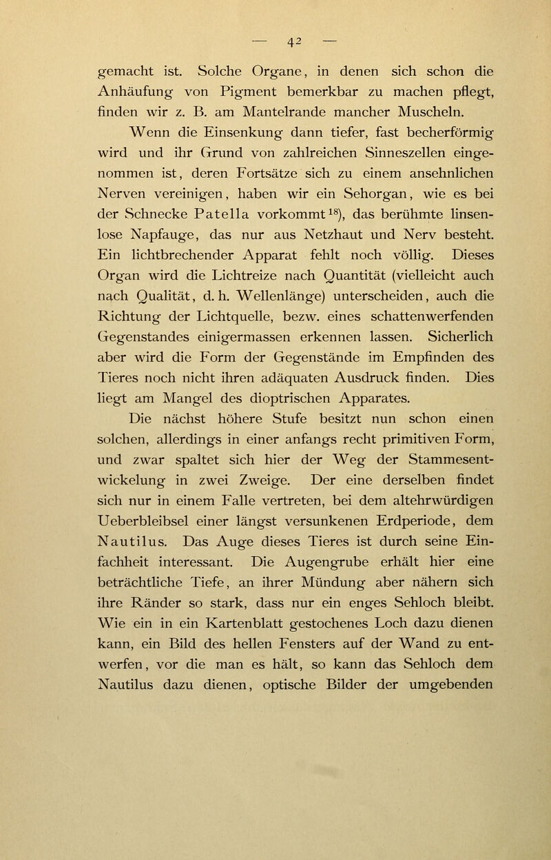 gemacht ist. Solche Organe, in denen sich schon die Anhäufung von Pigment bemerkbar zu machen pflegt, finden wir z. B. am Mantelrande mancher Muscheln. Wenn die Einsenkung dann tiefer, fast becherförmig wird und ihr Grund von zahlreichen Sinneszellen einge- nommen ist, deren Fortsätze sich zu einem ansehnlichen Nerven vereinigen, haben wir ein Sehorgan, wie es bei der Schnecke Patella vorkommt18), das berühmte linsen- lose Napfauge, das nur aus Netzhaut und Nerv besteht. Ein lichtbrechender Apparat fehlt noch völlig. Dieses Organ wird die Lichtreize nach Quantität (vielleicht auch nach Qualität, d. h. Wellenlänge) unterscheiden, auch die Richtung der Lichtquelle, bezw. eines schattenwerfenden Gegenstandes einigermassen erkennen lassen. Sicherlich aber wird die Form der Gegenstände im Empfinden des Tieres noch nicht ihren adäquaten Ausdruck finden. Dies liegt am Mangel des dioptrischen Apparates. Die nächst höhere Stufe besitzt nun schon einen solchen, allerdings in einer anfangs recht primitiven Form, und zwar spaltet sich hier der Weg der Stammesent- wickelung in zwei Zweige. Der eine derselben findet sich nur in einem Falle vertreten, bei dem altehrwürdigen Ueberbleibsel einer längst versunkenen Erdperiode, dem Nautilus. Das Auge dieses Tieres ist durch seine Ein- fachheit interessant. Die Augengrube erhält hier eine beträchtliche Tiefe, an ihrer Mündung aber nähern sich ihre Ränder so stark, dass nur ein enges Sehloch bleibt. Wie ein in ein Kartenblatt gestochenes Loch dazu dienen kann, ein Bild des hellen Fensters auf der Wand zu ent- werfen, vor die man es hält, so kann das Sehloch dem Nautilus dazu dienen, optische Bilder der umgebenden