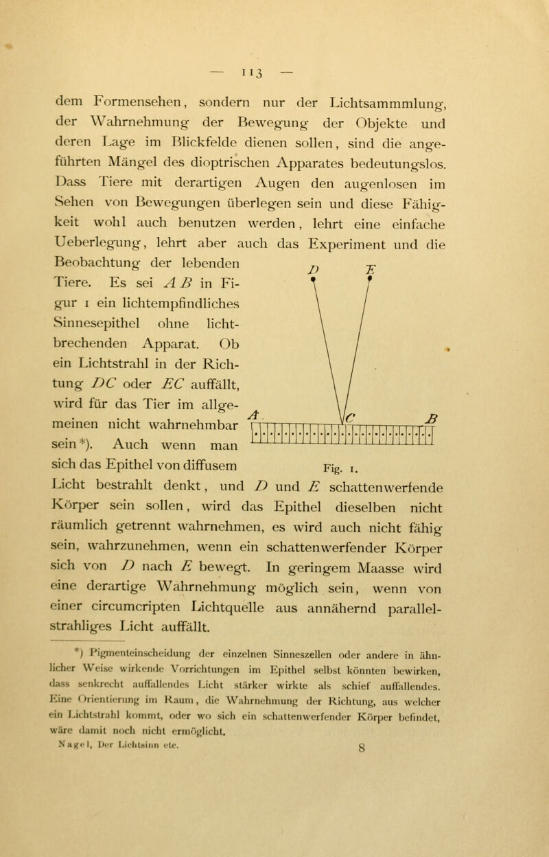 H3 — dem Formensehen, sondern nur der Lichtsammmlung, der Wahrnehmung der Bewegung der Objekte und deren Lage im Blickfelde dienen sollen, sind die ange- führten Mängel des dioptrischen Apparates bedeutungslos. Dass Tiere mit derartigen Augen den augenlosen im Sehen von Bewegungen überlegen sein und diese Fähig- keit wohl auch benutzen werden, lehrt eine einfache Ueberlegung, lehrt aber auch das Experiment und die Beobachtung der lebenden Tiere. Es sei A B in Fi- gur i ein lichtempfindliches Sinnesepithel ohne licht- brechenden Apparat. Ob ein Lichtstrahl in der Rich- tung DC oder EC auffällt, wird für das Tier im allge- meinen nicht wahrnehmbar sein*). Auch wenn man sich das Epithel von diffusem Fig. i. Licht bestrahlt denkt, und D und E schattenwerfende Körper sein sollen, wird das Epithel dieselben nicht räumlich getrennt wahrnehmen, es wird auch nicht fähig sein, wahrzunehmen, wenn ein schatten werfen der Körper sich von D nach E bewegt. In geringem Maasse wird eine derartige Wahrnehmung möglich sein, wenn von einer circumcripten Lichtquelle aus annähernd parallel- strahligos Licht auffällt. *) Piginenteinscheidung der einzelnen Sinncszellen oder andere in ähn- licher Weise wirkende Vorrichtungen im Epithel selbst könnten bewirken, enkrecht auffallendes Licht stärker wirkte als schief auffallendes. Eine Orientierung im Kaum, die Wahrnehmung der Richtung, aus welcher <in Lichtstrahl kommt, oder wo sich ein schattenwerfender Körper befindet, wän- damit noch nicht ermöglicht. \ age i, Der Lichteten etc. g