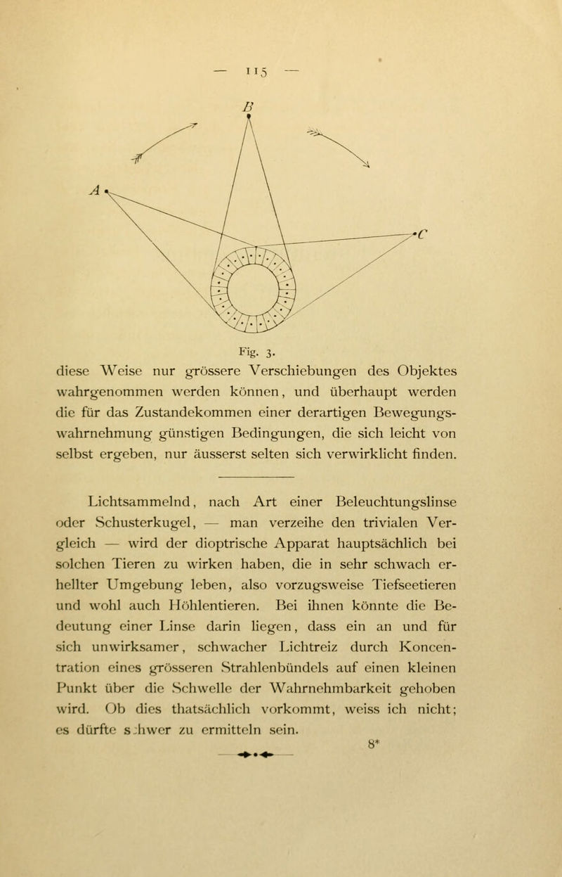 Fig- 3- diese Weise nur grössere Verschiebungen des Objektes wahrgenommen werden können, und überhaupt werden die für das Zustandekommen einer derartigen Bewegungs- wahrnehmung günstigen Bedingungen, die sich leicht von selbst ergeben, nur äusserst selten sich verwirklicht finden. Lichtsammelnd, nach Art einer Beleuchtungslinse oder Schusterkugel, — man verzeihe den trivialen Ver- gleich — wird der dioptrische Apparat hauptsächlich bei solchen Tieren zu wirken haben, die in sehr schwach er- hellter Umgebung leben, also vorzugsweise Tiefseeticren und wohl auch Höhlentieren. Bei ihnen könnte die Be- deutung einer Linse darin liegen, dass ein an und für sich unwirksamer, schwacher Lichtreiz durch Koncen- tration eines grösseren Strahlenbündels auf einen kleinen Punkt über die Schwelle der Wahrnehmbarkeit gehoben wird. Ob dies thatsächlich vorkommt, weiss ich nicht; es dürfte s:hwer zu ermitteln sein. 8*