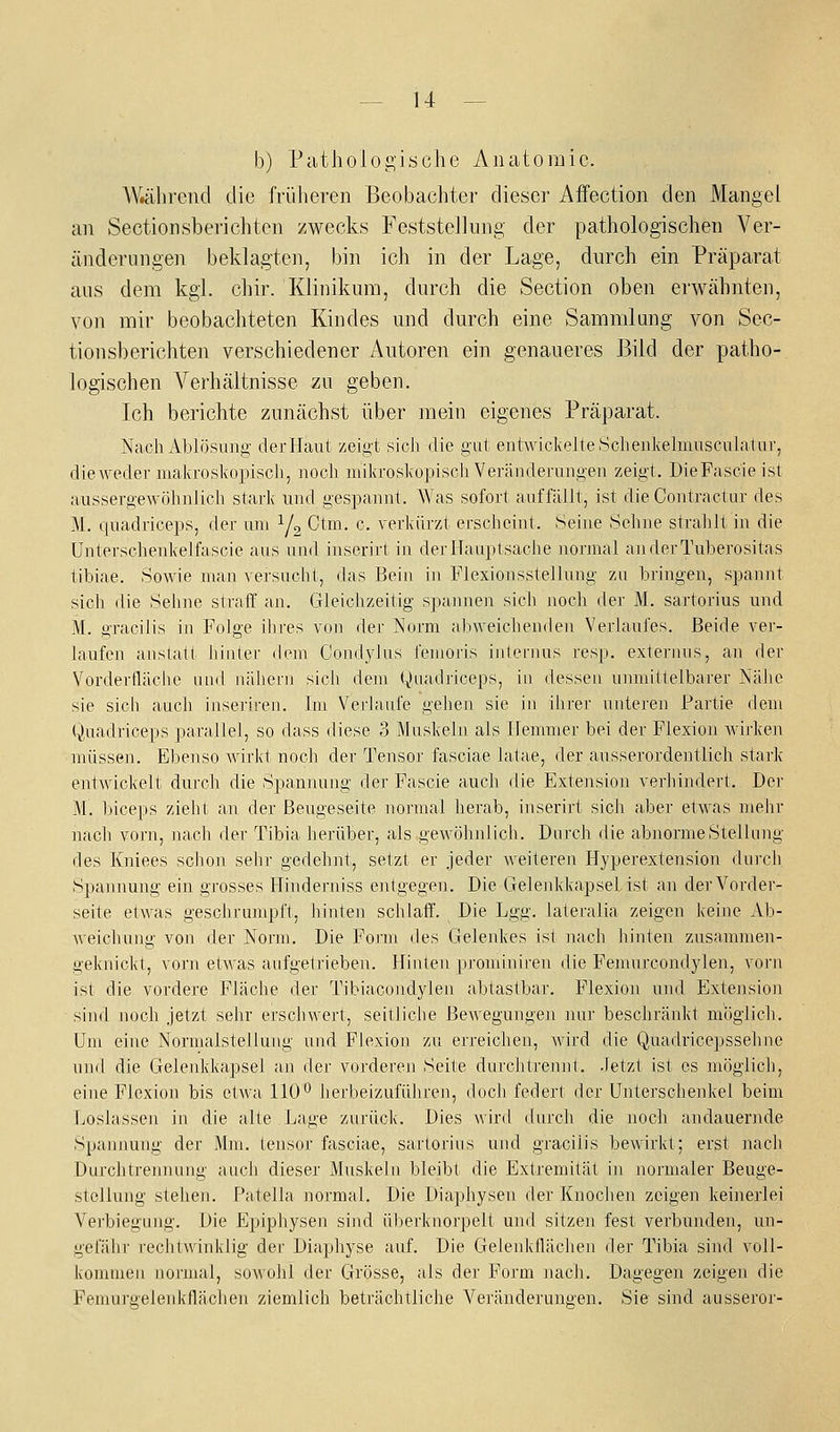 b) Pathologische Aiuitomic. W.ährend die früheren Beobachter dieser Affection den Mangel an Sectionsberichten zwecks Feststellung der pathologischen Ver- änderungen beklagten, bin ich in der Lage, durch ein Präparat aus dem kgi. chir. Klinikum, durch die Section oben erwähnten, von mir beobachteten Kindes und durch eine Sammlung von Sec- tionsberichten verschiedener Autoren ein genaueres Bild der patho- logischen Verhältnisse zu geben. Ich berichte zunächst über mein eigenes Präparat. Nach Ablösung derllaul zeii^'t sich (Jie gut eiitwicl<elleSc]ieiikehnusciila1nr, dieweder niakrosliopiscli, noch mikroskopisch Veränderungen zeigt. DiePascie ist aussergewölnilich stark und gespannt. Was sofort auffällt, ist die Contractar des M. quadriceps, der von Y2 Ctm. c. verkürzt erscheint. Seine Sehne strahlt in die Unterschenkelfascie aus und inserirt in der Hauptsache normal anderTuberositas tibiae. Sowie man versucht, das Bein in Flexionsstellung zu bringen, spannt sich die Sehne straff an. Gleichzeitig spannen sich noch der M. sartorius und M. gracilis in Folge ihres von der Norm abweichenden Verlaufes. Beide ver- laufen aiislall liiiUer dem Condylus femoris internus resp. externus, an der Vorderfläche und nähern sich dem (^)uadriceps, in dessen umnittelbarer NäJie sie sich auch inseriien. Im Verlaufe gehen sie in ilirer unteren Partie dem Quadriceps parallel, so dass diese 3 Mnskeln als llennner bei der Flexion wirken müssen. Ebenso Avirld noch der Tensor fasciae latae, der ausserordentlieli stark entAvickelt durch die Spannung der Fascie auch die Extension verhindert. Der M. biceps zielit an der Beugeseite normal herab, inserirt sich aber etwas mehr nach vorn, nach der Tibia herüber, als gewölrnlich. Durch die abnorme Stellung des Kniees sc)ion sehr gedehnt, setzt er jeder weiteren Hyperextension durch Spannung ein grosses Hinderniss entgegen. Die Gelenkkapsel ist an der Vorder- seite etwas geschrumpft, hinten schlaff. Die Lgg. lateralia zeigen keine Ab- Aveichung von der Norm. Die Form des Gelenkes ist nach hinten zusammen- geknickt, vorn etwas aufgetrieben. Hinten prouüniren die Femnrcondylen, vorn ist die vordere Fläche der Tibiacondylen abtastbar. Flexion und Extension sind noch jetzt sehr erschwert, seitliche Bewegungen nur beschränkt möglich. Um eine Normalstellung und Flexion zu erreichen, wird die Quadricepsselme und die Gelenkkapsel an der vorderen Seite durchtrennt. Jetzt ist es möglich, eine Flexion bis etwa 110** herbeizuführen, doch federt der Unterschenkel beim Loslassen in die alte Lage zurück. Dies Avird durch die noch andauernde Spannung der Mm. tensor fasciae, sartorius und gracilis bewirkt; erst nach Durchtrennung auch dieser Muskeln bleibt die Extremität in normaler Beuge- stollung stehen. Patella normal. Die Diaphysen der Knochen zeigen keinerlei Vei'biegung. Die Epiphysen sijid überknorpelt und sitzen fest verbunden, un- gefähr rechtwinklig der Diaphyse auf. Die Gelenkfläclien der Tibia sind voll- kommen normal, sowohl der Grösse, als der Form nach. Dagegen zeigen die Femuruelenkflächen ziemlich beträchtliche Veränderungen. Sie sind ausseroi'-