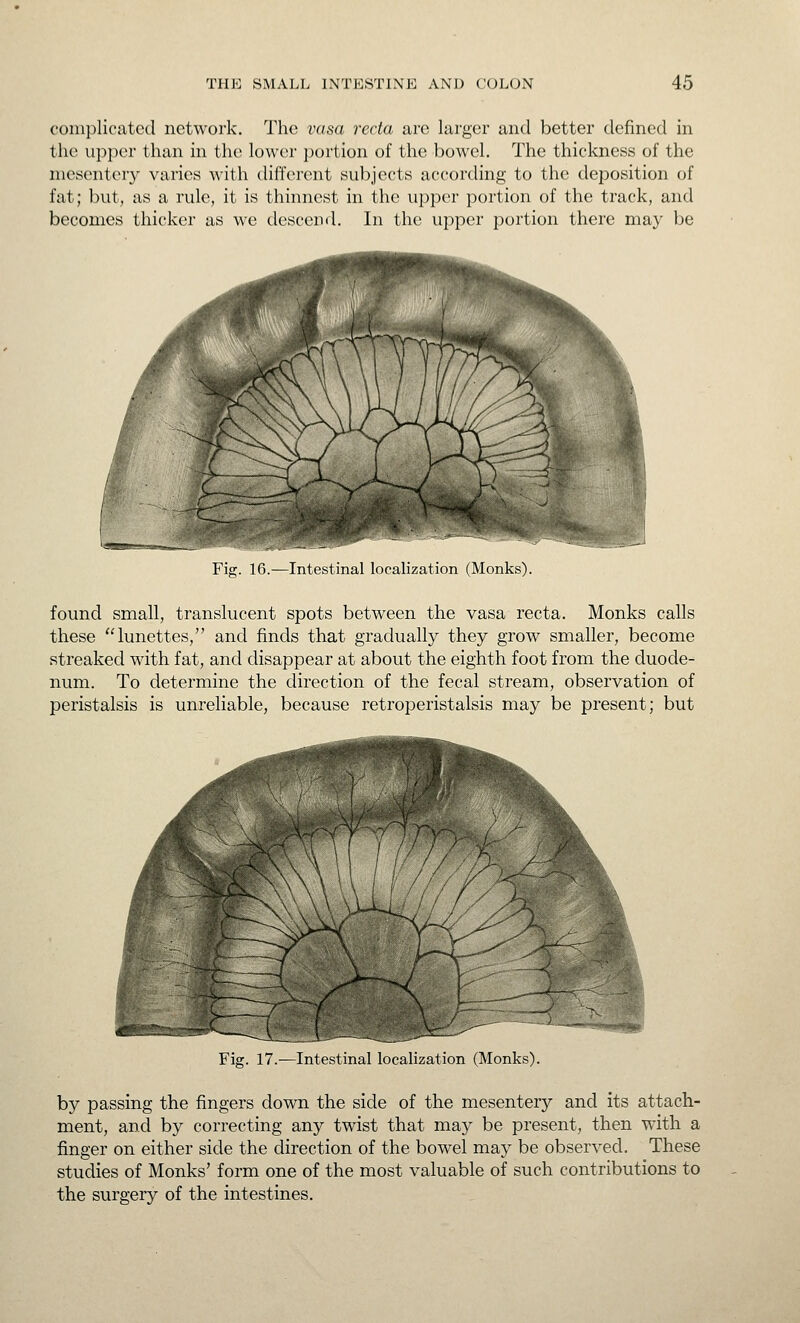 complicated network. The vasa recta are larger and better defined in the upper than in the lower portion of the bowel. The thickness of the mesentery varies with different subjects according to the deposition of fat; but, as a rule, it is thinnest in the upper portion of the track, and becomes thicker as we descend. In the upper portion there may be Fig. 16.—Intestinal localization (Monks). found small, translucent spots between the vasa recta. Monks calls these lunettes, and finds that gradually they grow smaller, become streaked with fat, and disappear at about the eighth foot from the duode- num. To determine the direction of the fecal stream, observation of peristalsis is unreliable, because retroperistalsis may be present; but Fig. 17.—Intestinal localization (Monks). by passing the fingers down the side of the mesentery and its attach- ment, and by correcting any twist that may be present, then with a finger on either side the direction of the bowel may be observed. These studies of Monks' form one of the most valuable of such contributions to the surgery of the intestines.