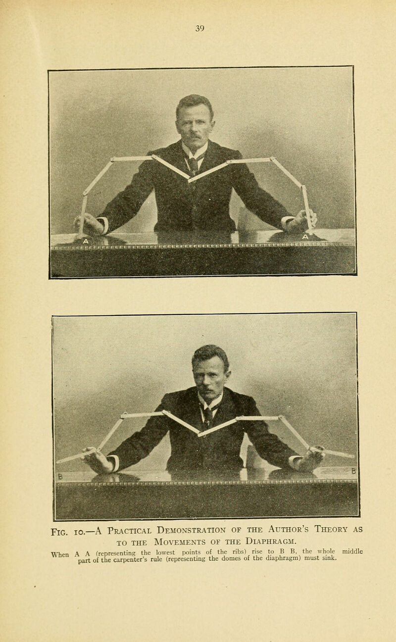 YiQ^ 10.—A Practical Demonstration of the Author's Theory as TO THE Movements of the Diaphragm. When A A (representing the lowest points of the ribs) rise to B B, the whole middle part of the carpenter's rule (representing the domes of the diaphragm) must sink.